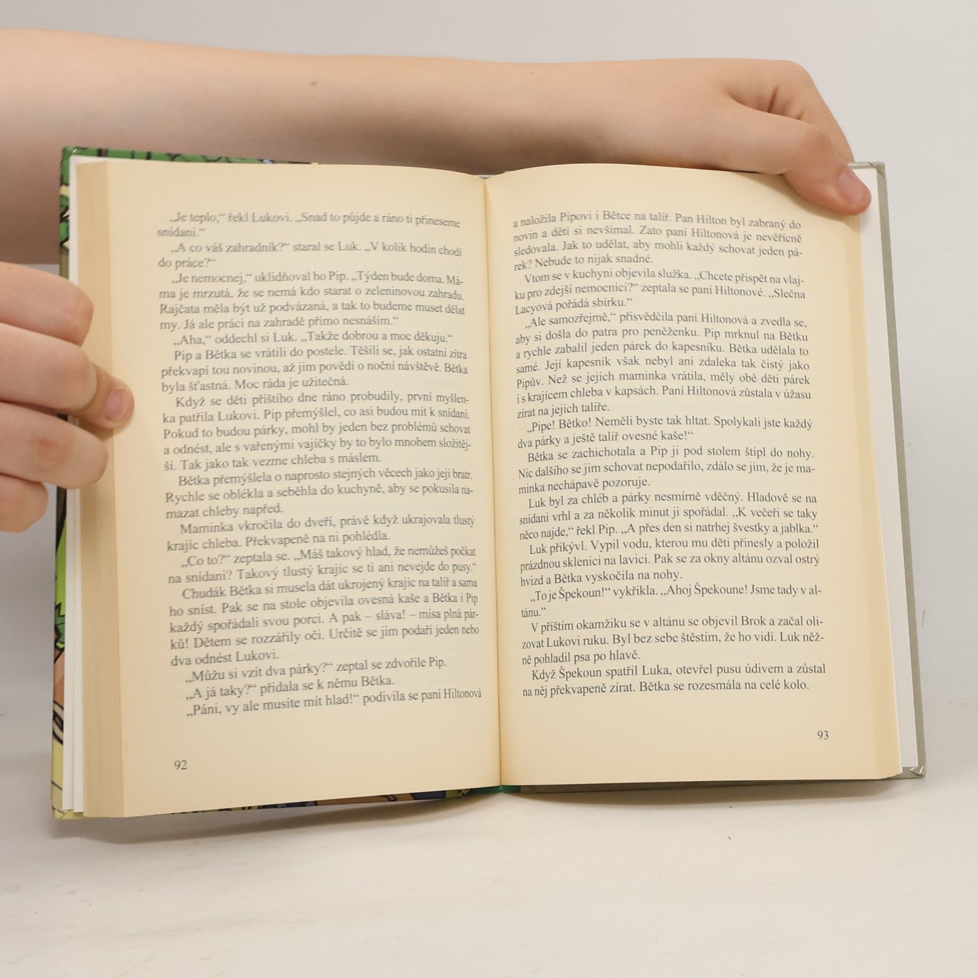 Enid Blyton Tajemství ztracené kočky