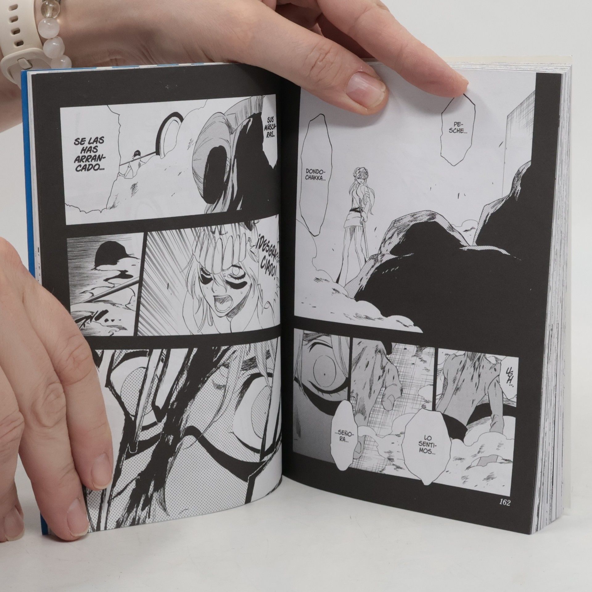 Tite Kubo Bleach 33