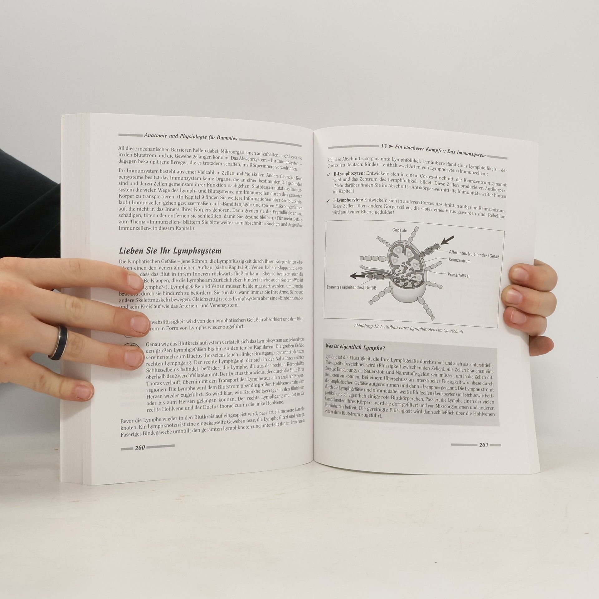 Donna Rae Siegfried Anatomie und Physiologie für Dummies