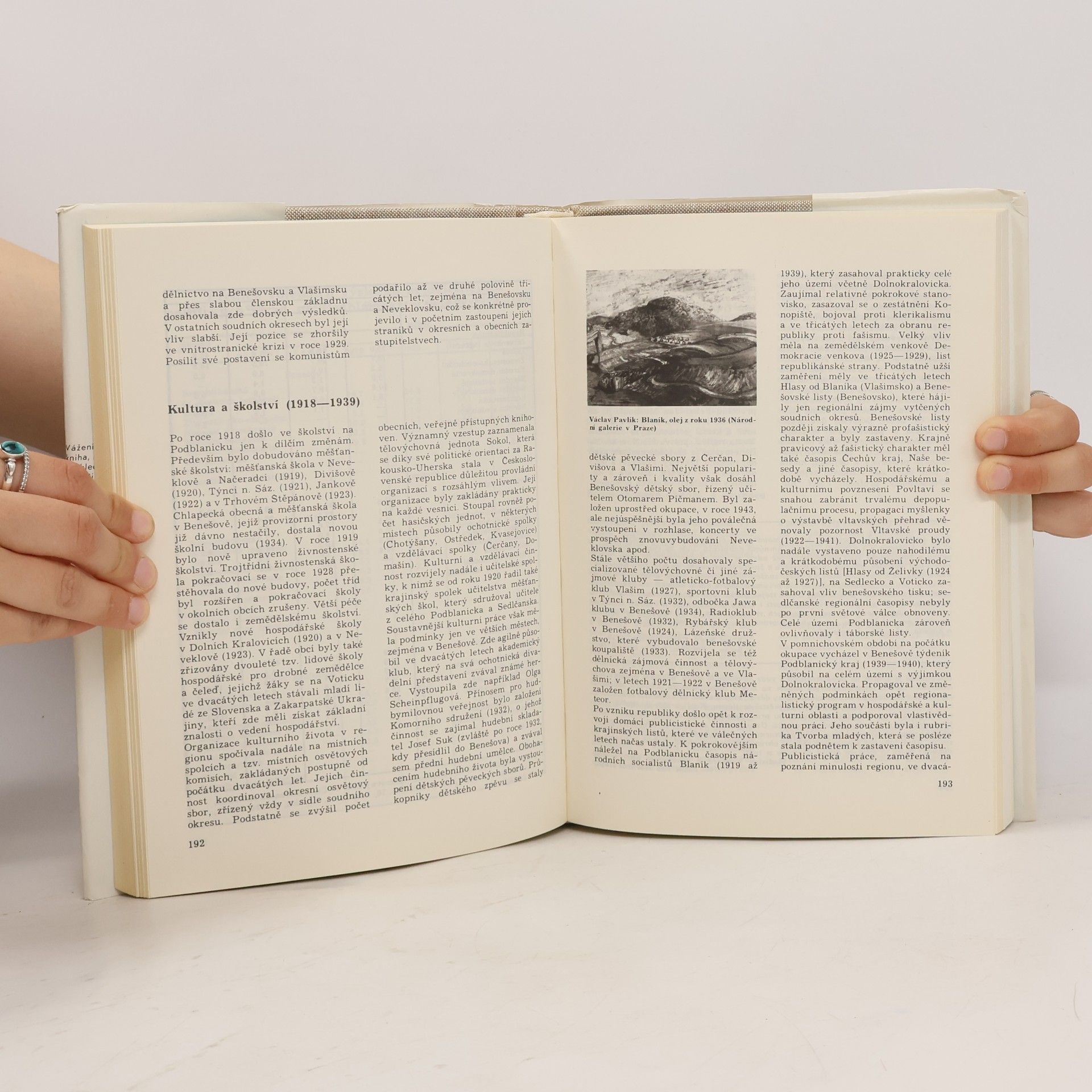 Autorenkollektiv Benešovsko-Podblanicko