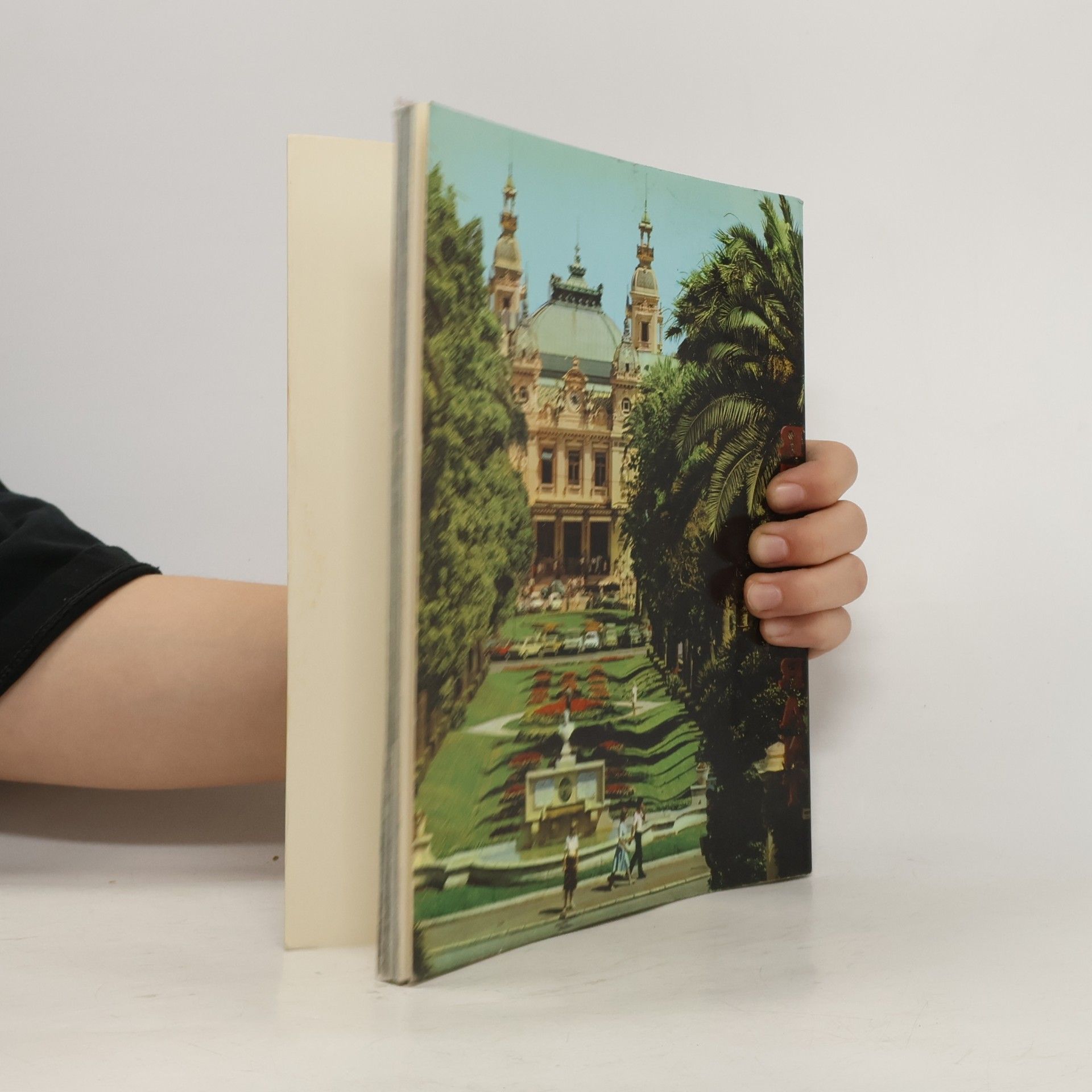 Autorenkollektiv Das Ganze Fürstentum Monaco