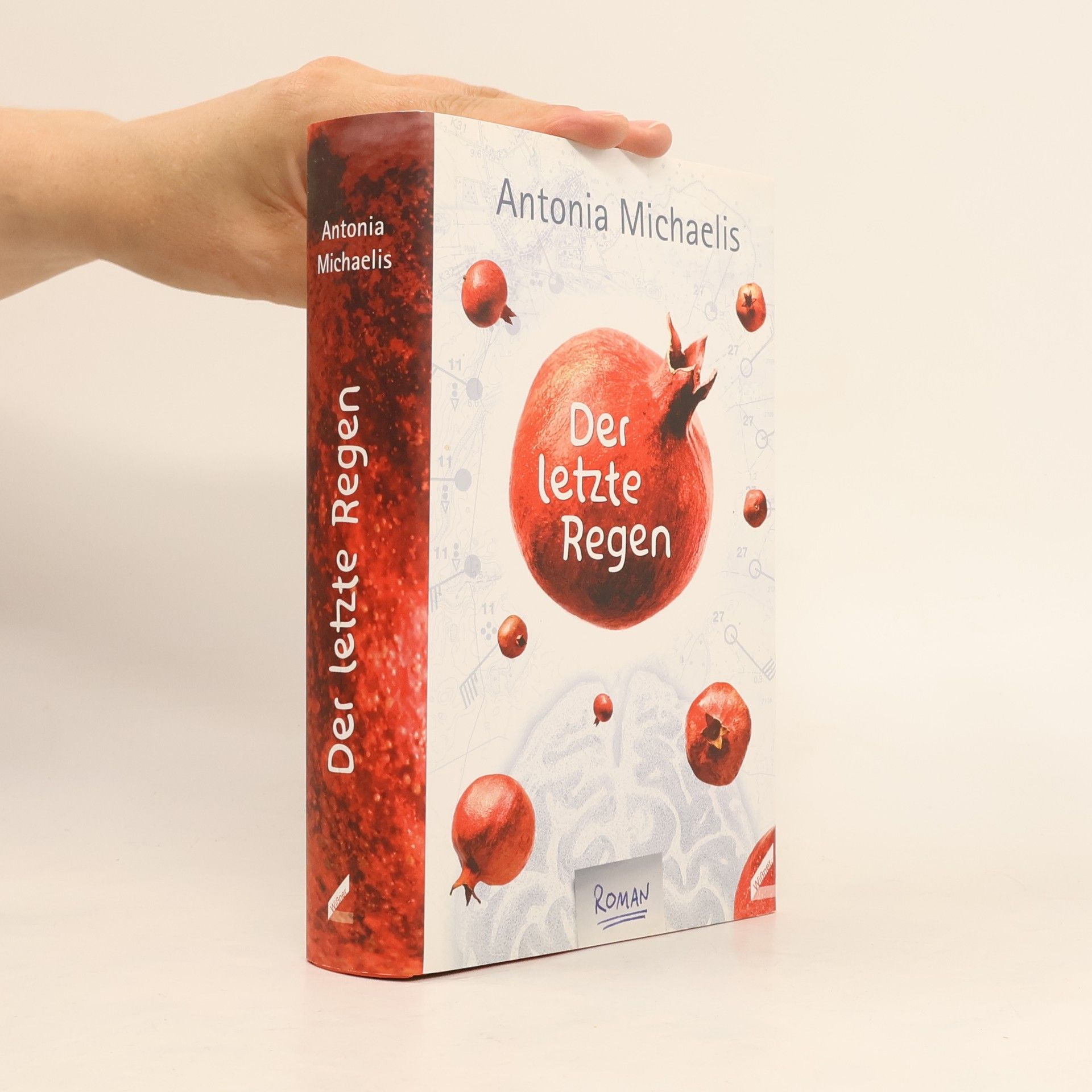 Antonia Michaelis Der letzte Regen