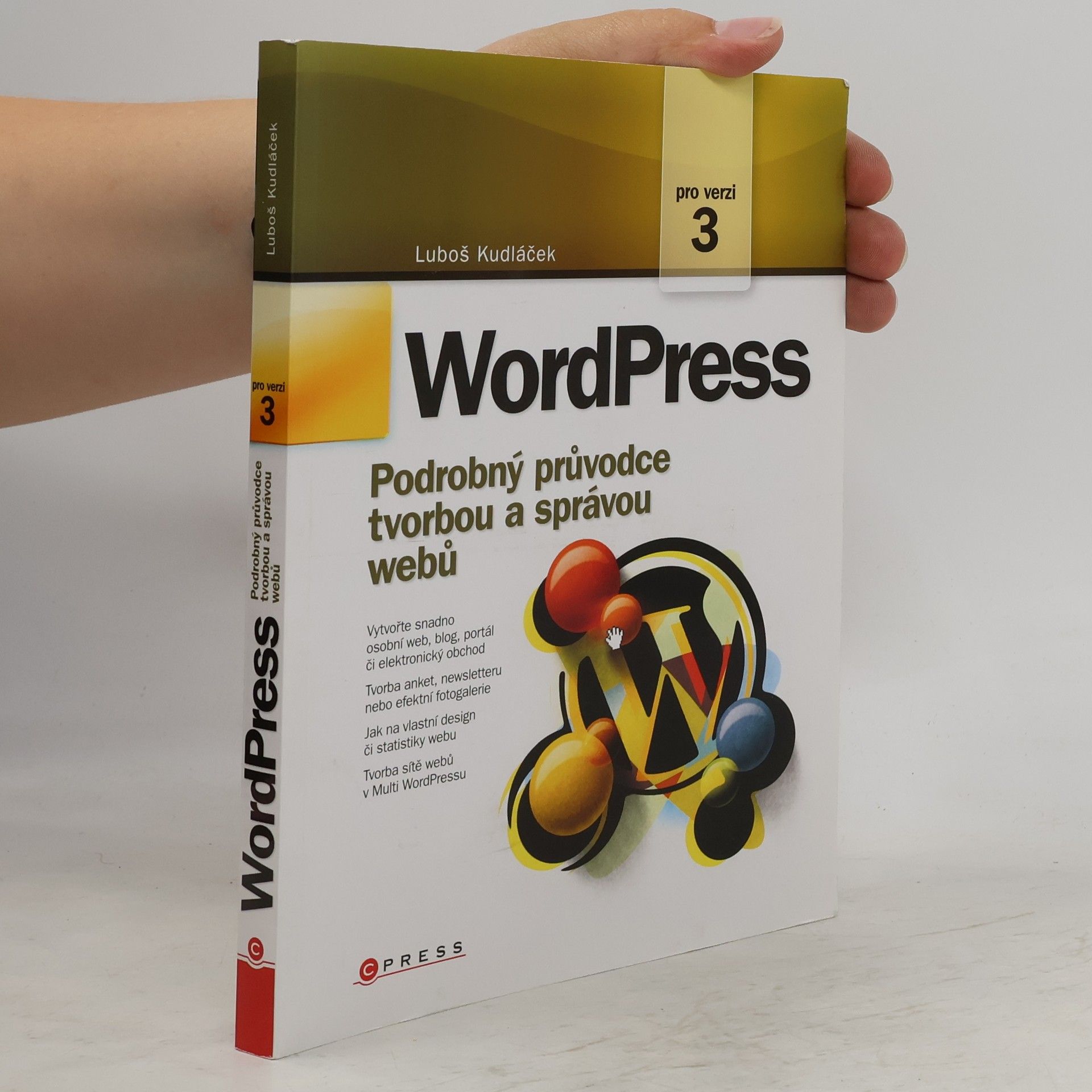 Lubomír Kudláček WordPress: Podrobný průvodce tvorbou a správou webů
