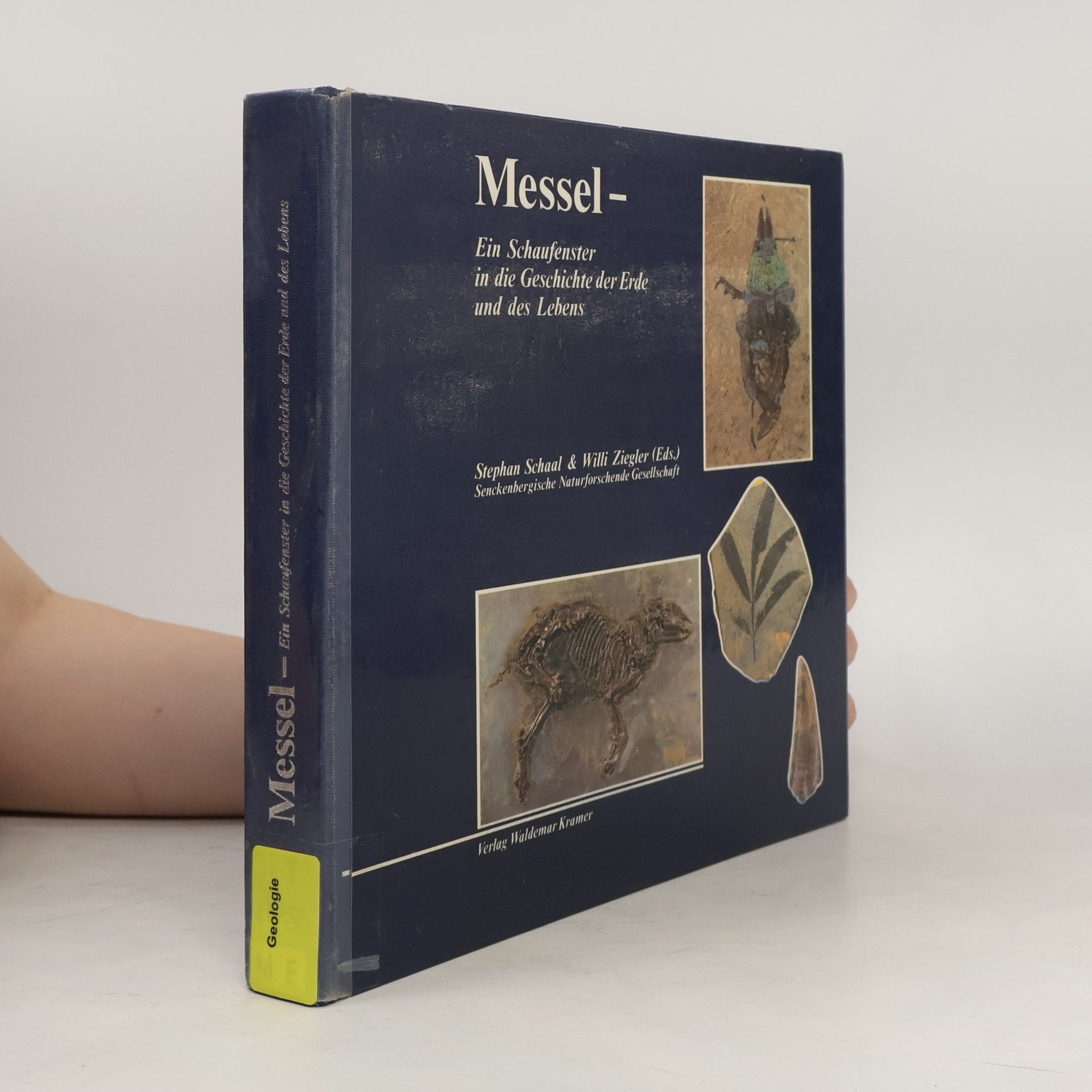 Senckenberg-Buch: Messel