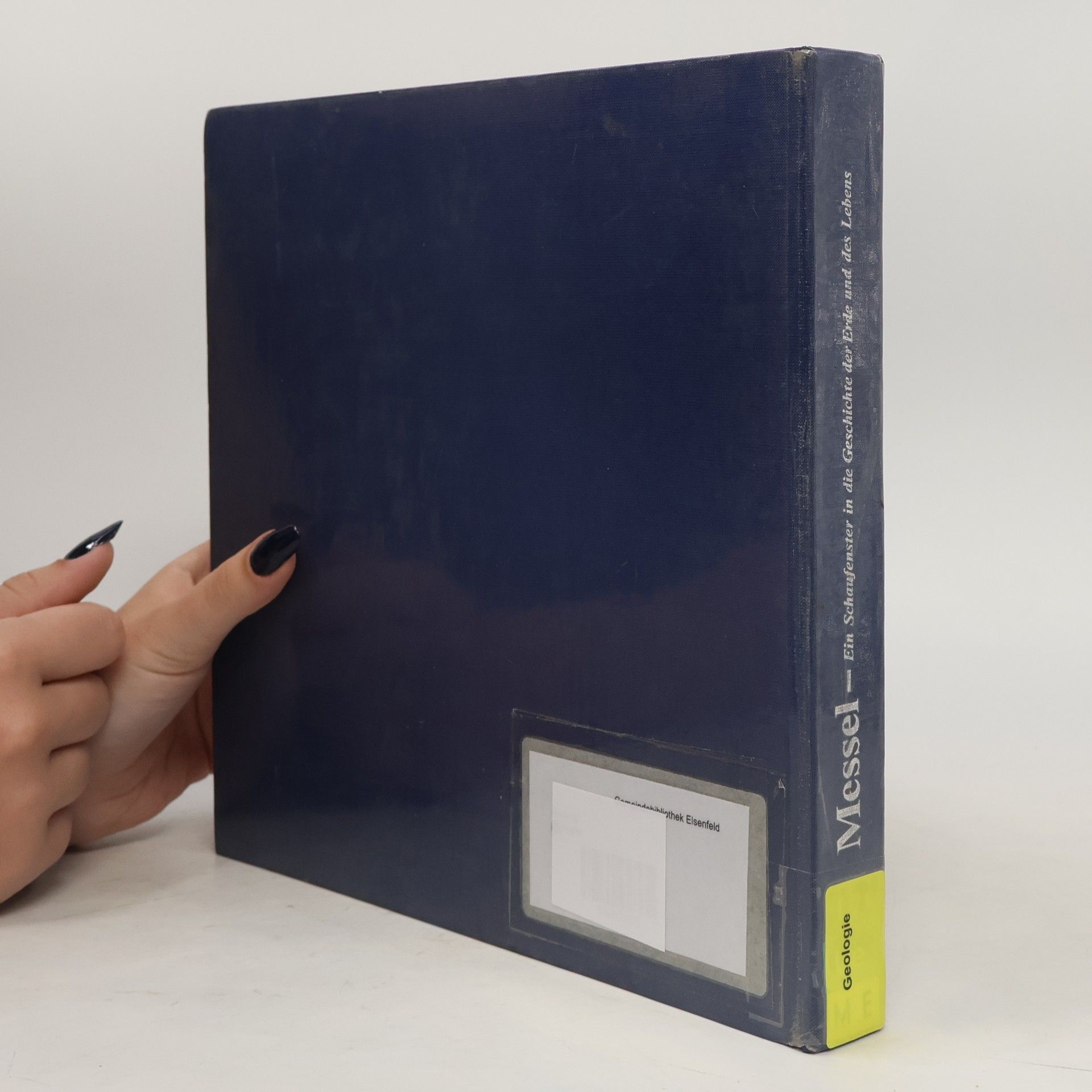 Stephan Schaal Senckenberg-Buch: Messel