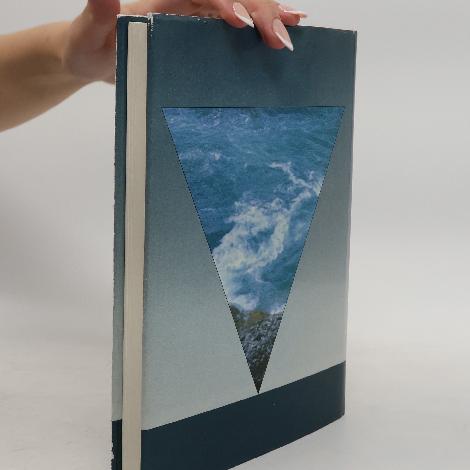 Mario F. Broggi Gedenkschrift Wolf Juergen Reith