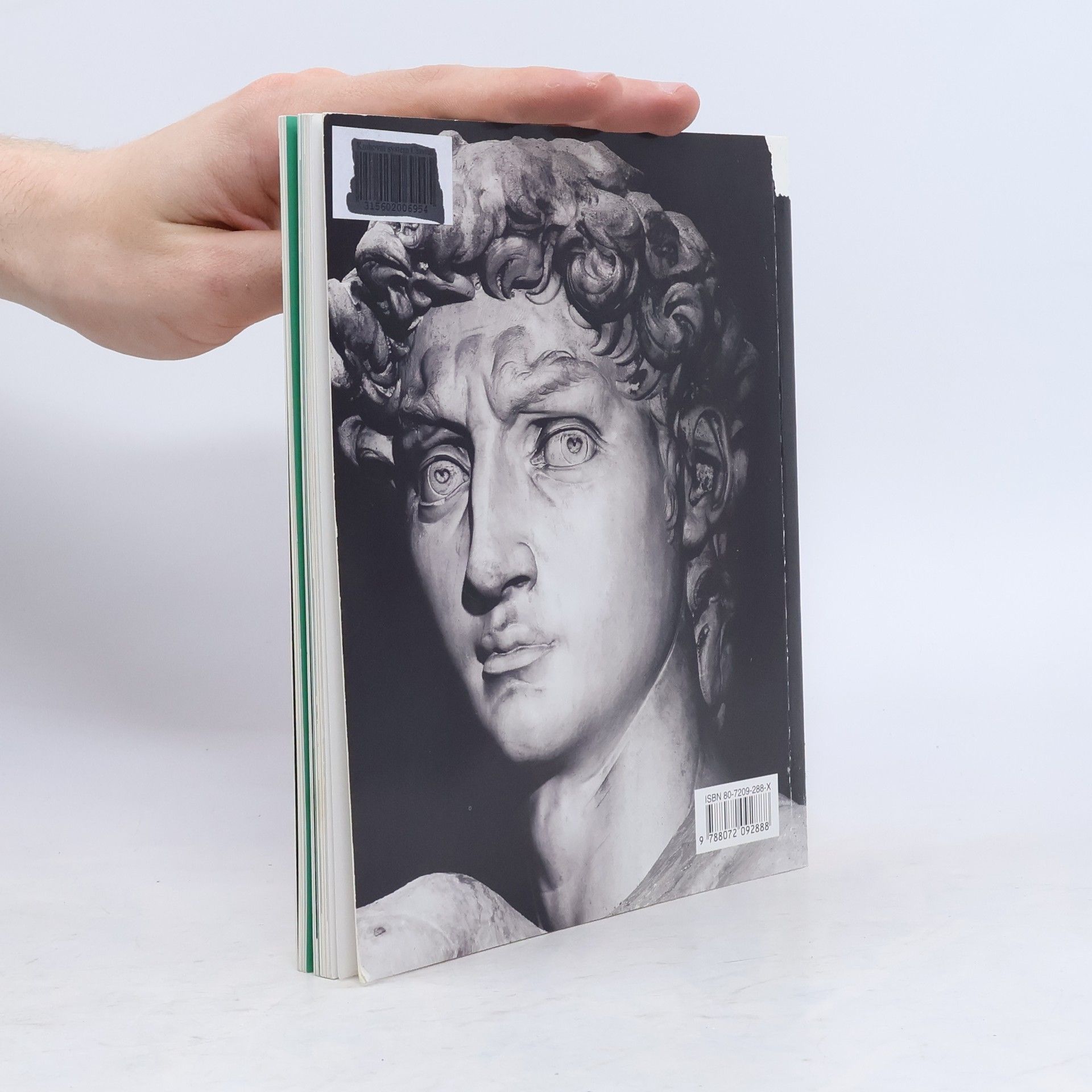 Alexandra Grömling Michelangelo Buonarroti : život a dílo