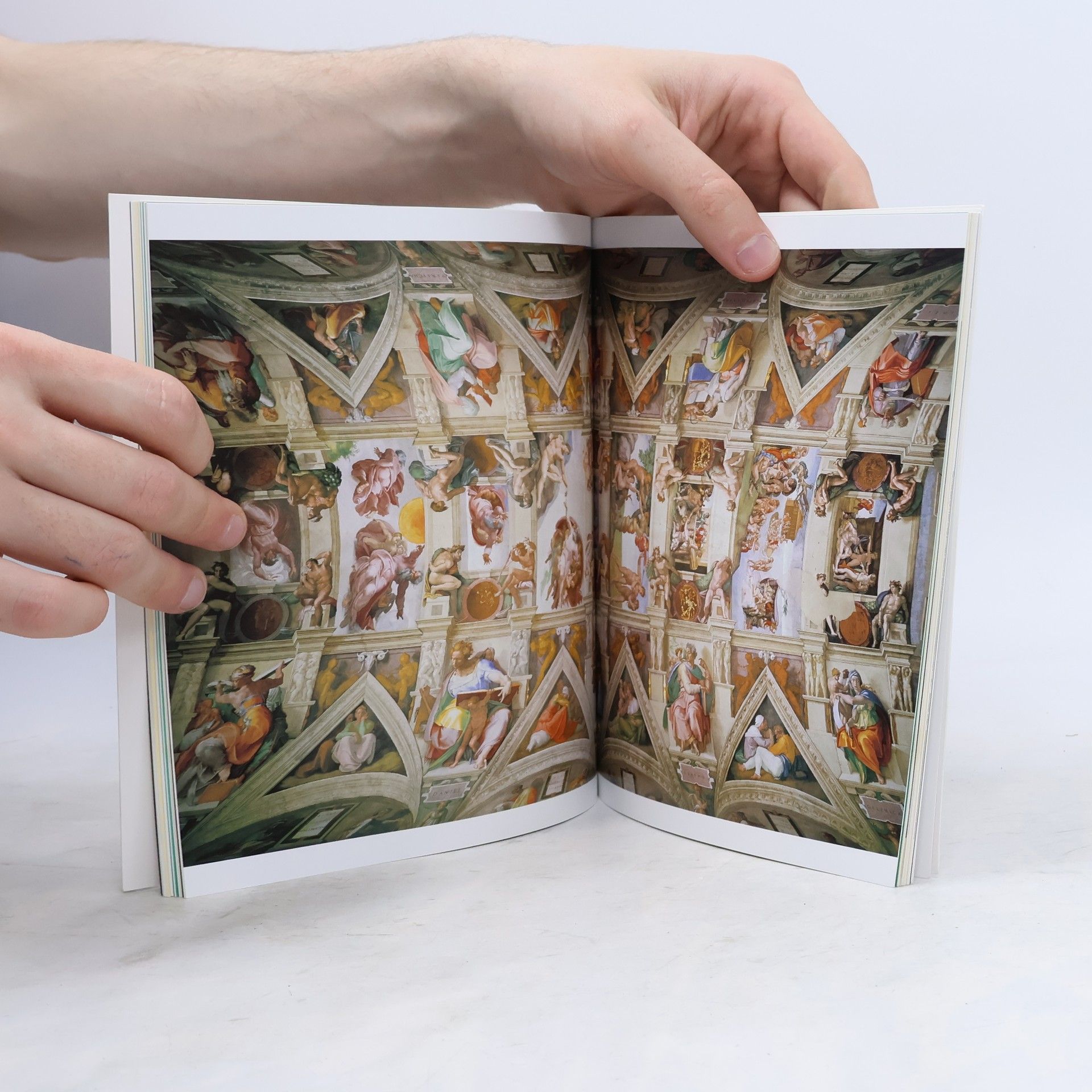 Alexandra Grömling Michelangelo Buonarroti : život a dílo