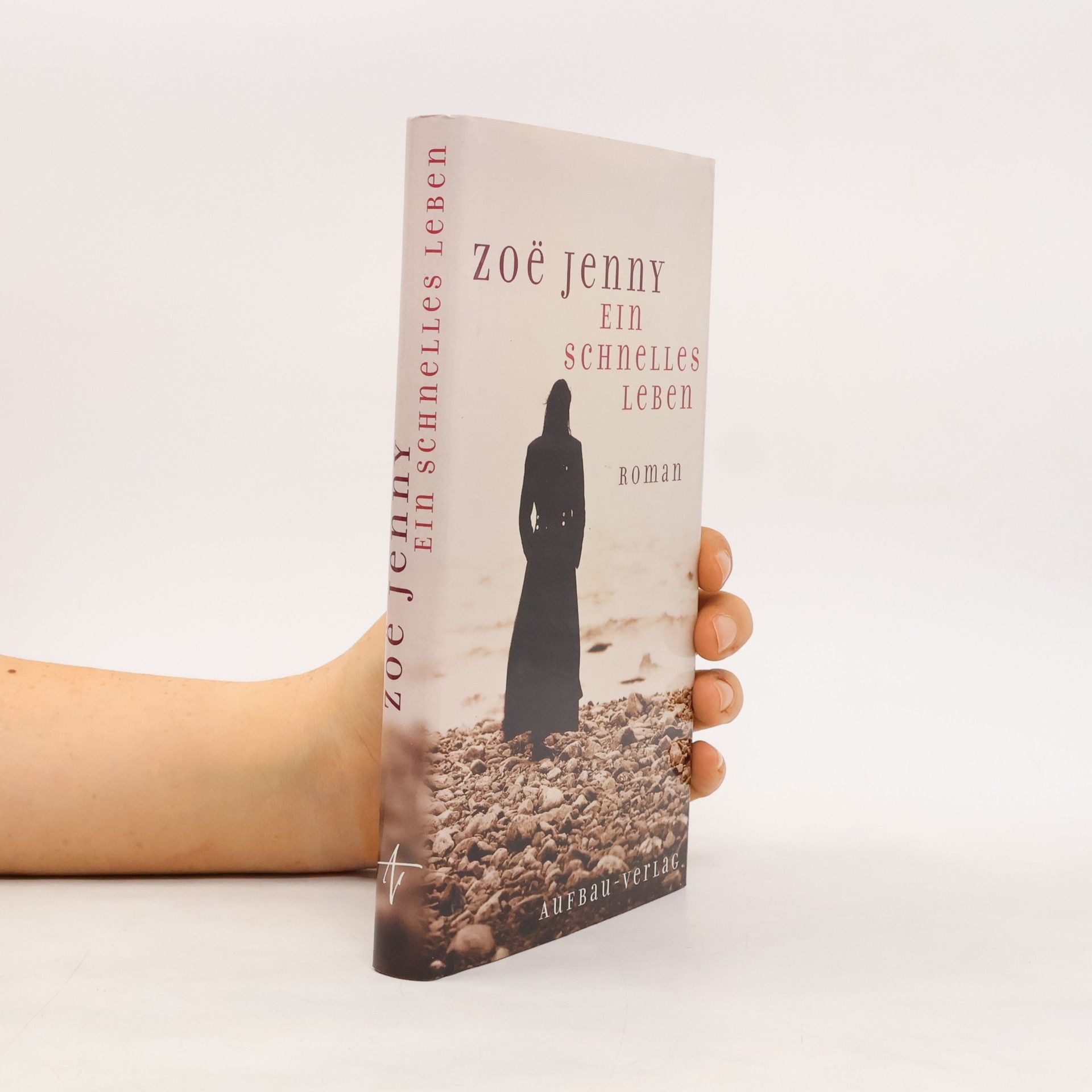 Zoë Jenny Ein schnelles Leben