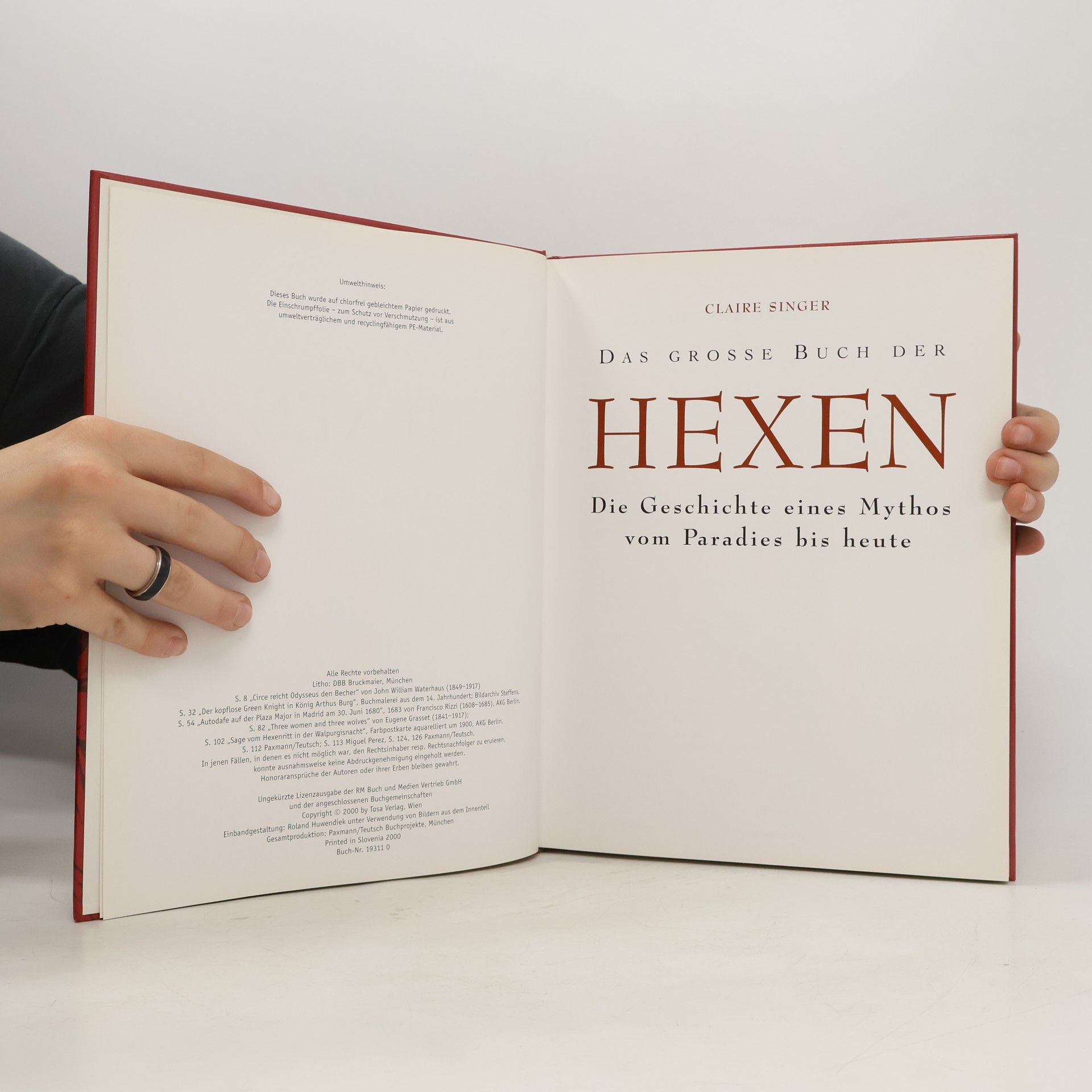 Claire Singer Das große Buch der Hexen