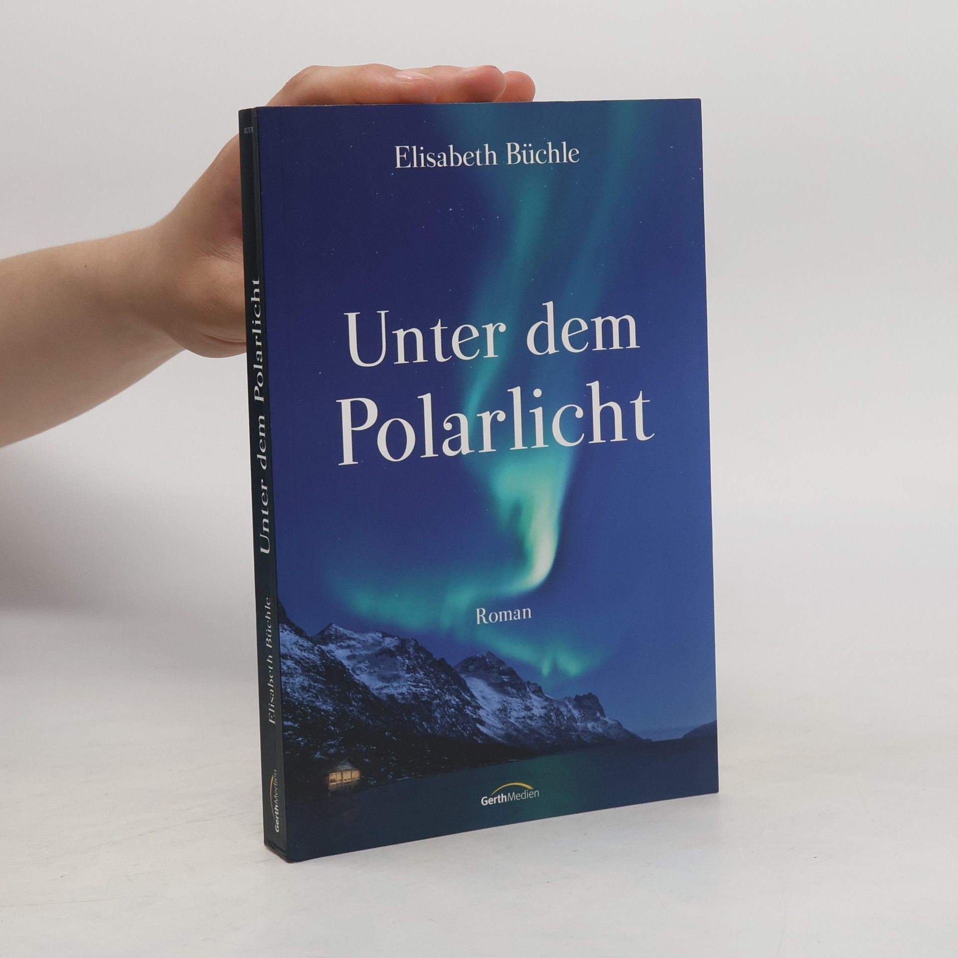 Elisabeth Büchle Unter dem Polarlicht