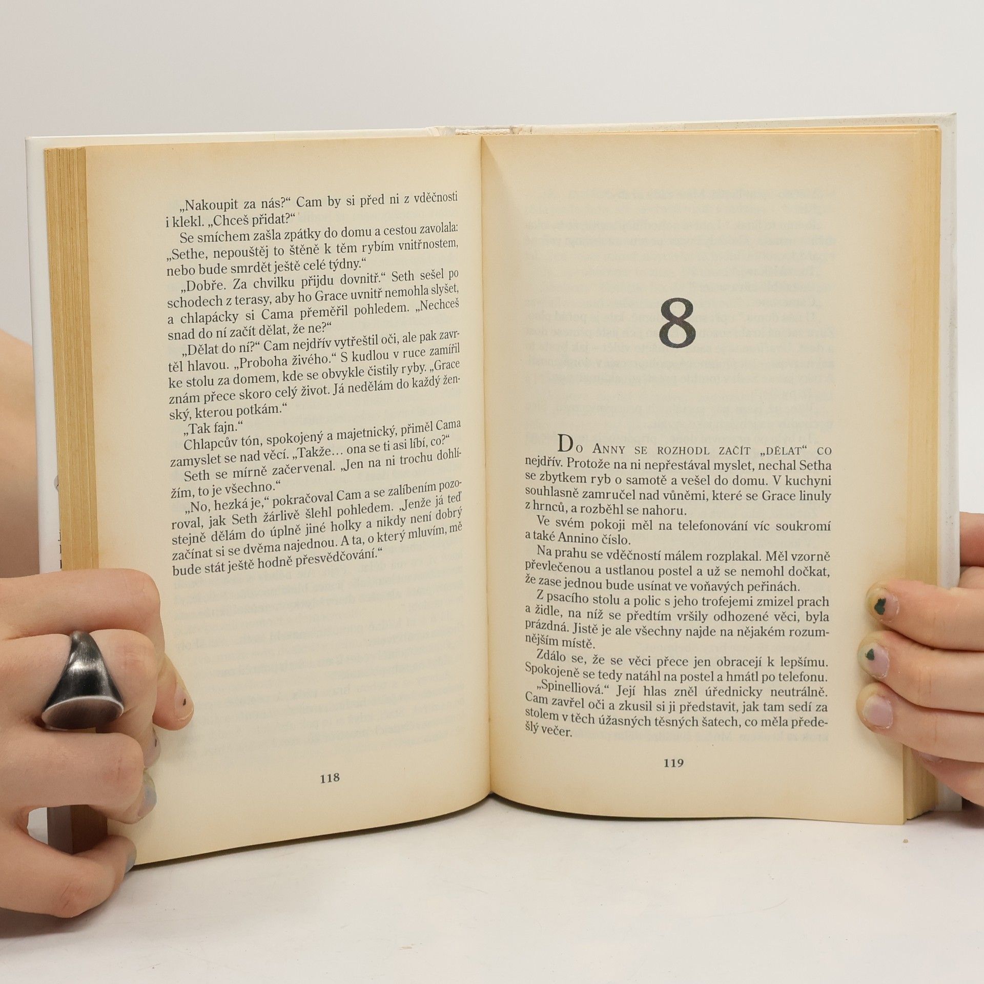 Nora Roberts Past na dobrodruha