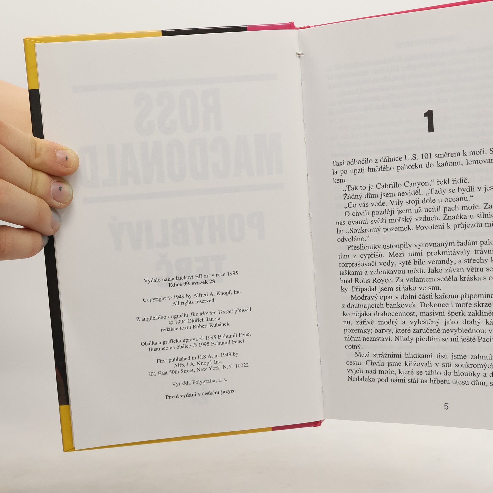 Ross Macdonald Pochyblivý terč