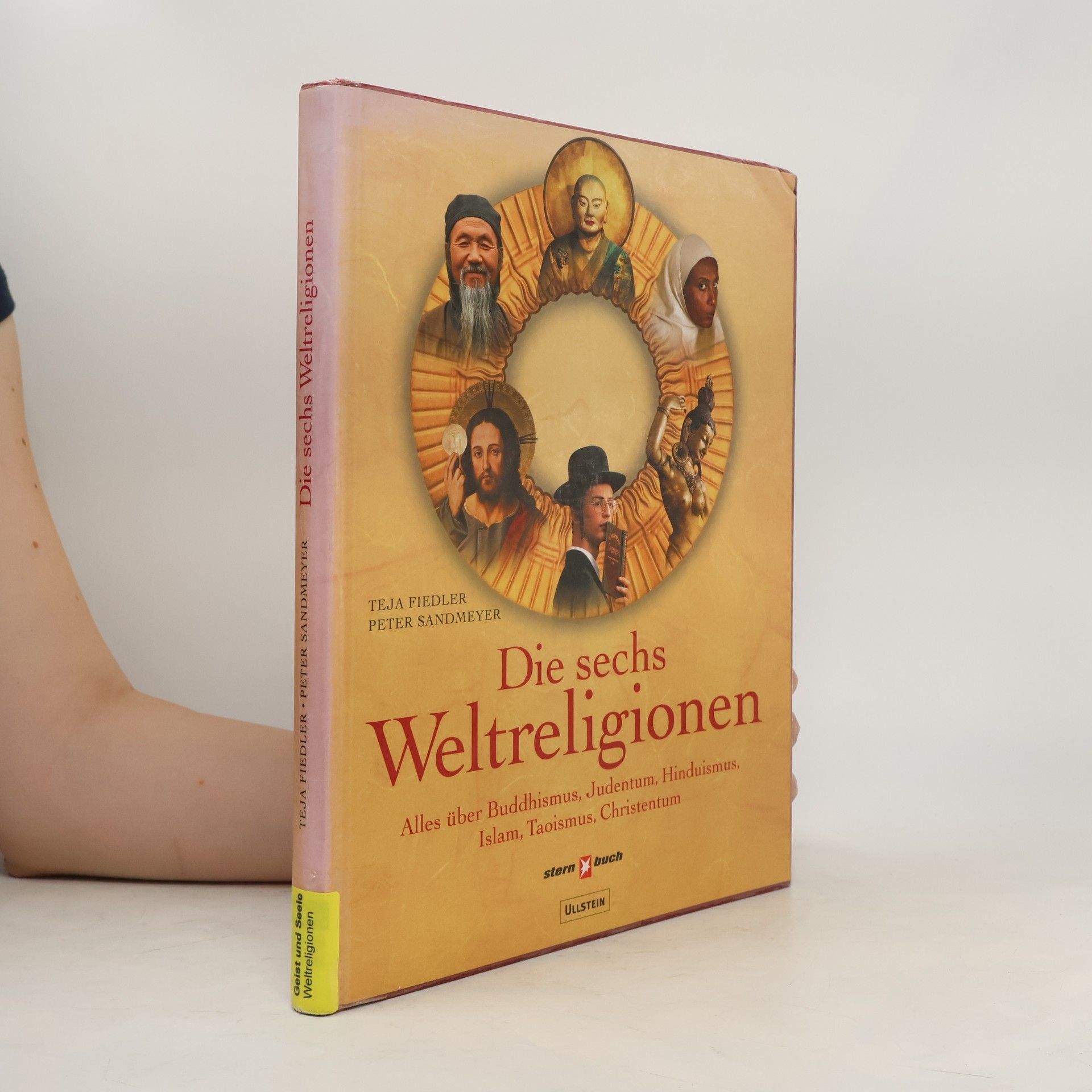 Teja Fiedler Die sechs Weltreligionen: alles über Buddhismus, Judentum, Hinduismus, Islam, Taoismus, Christentum