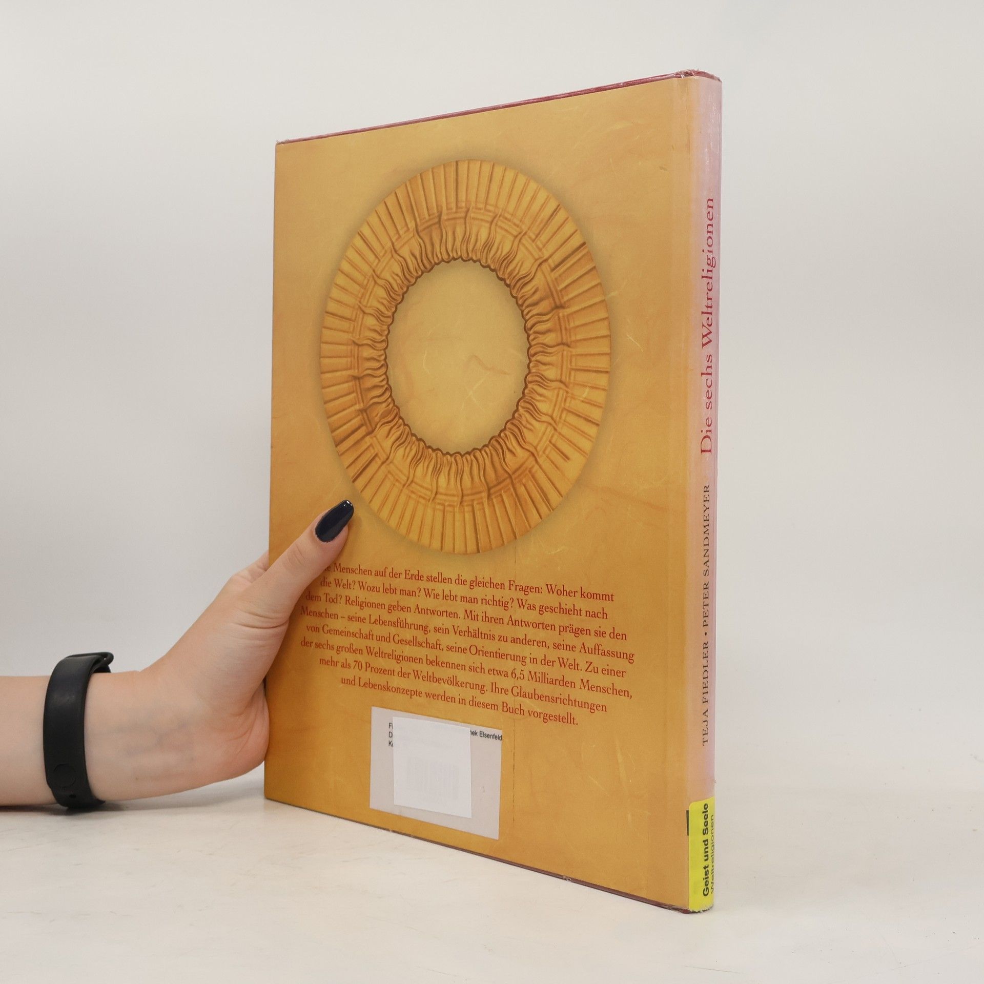 Teja Fiedler Die sechs Weltreligionen: alles über Buddhismus, Judentum, Hinduismus, Islam, Taoismus, Christentum