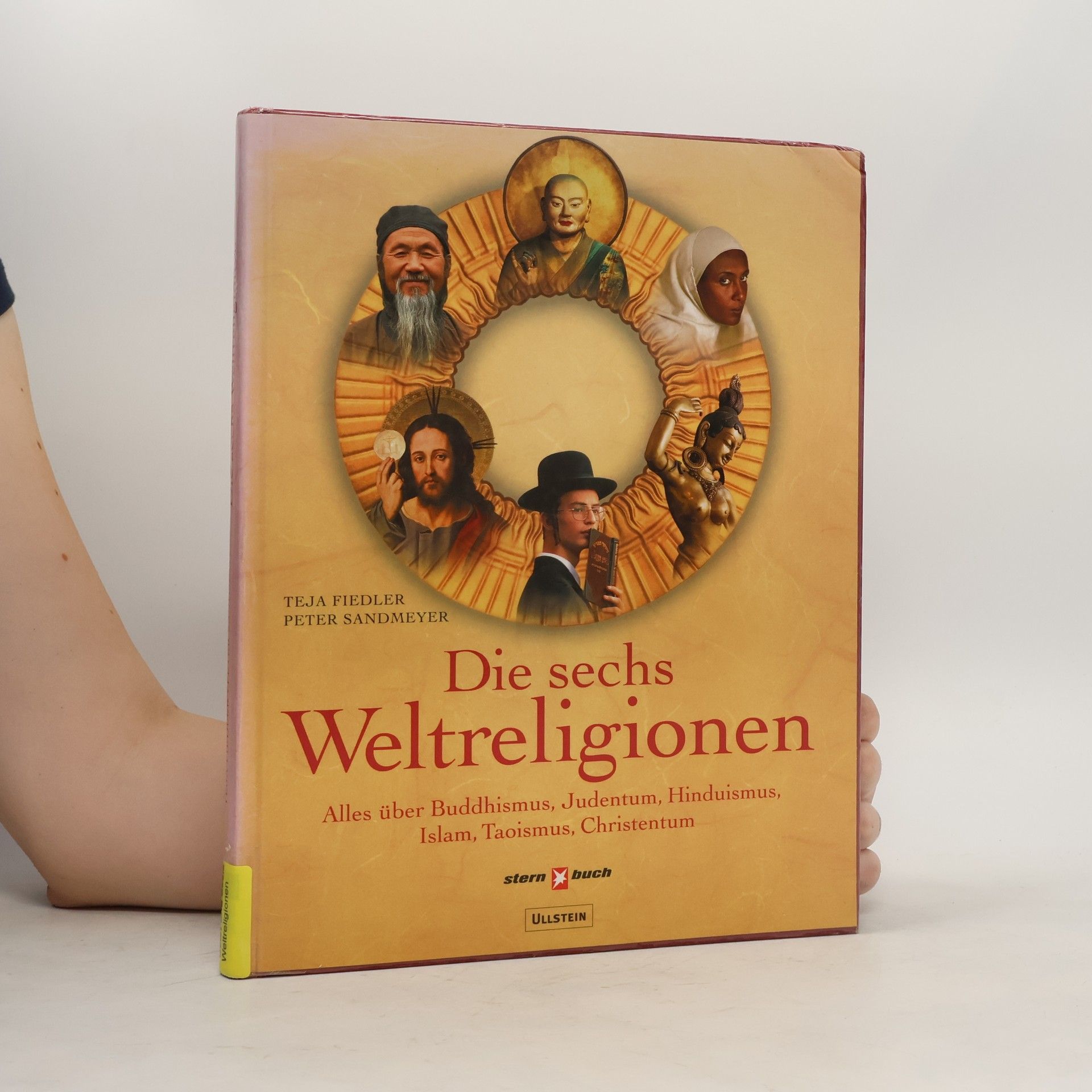 Teja Fiedler Die sechs Weltreligionen: alles über Buddhismus, Judentum, Hinduismus, Islam, Taoismus, Christentum