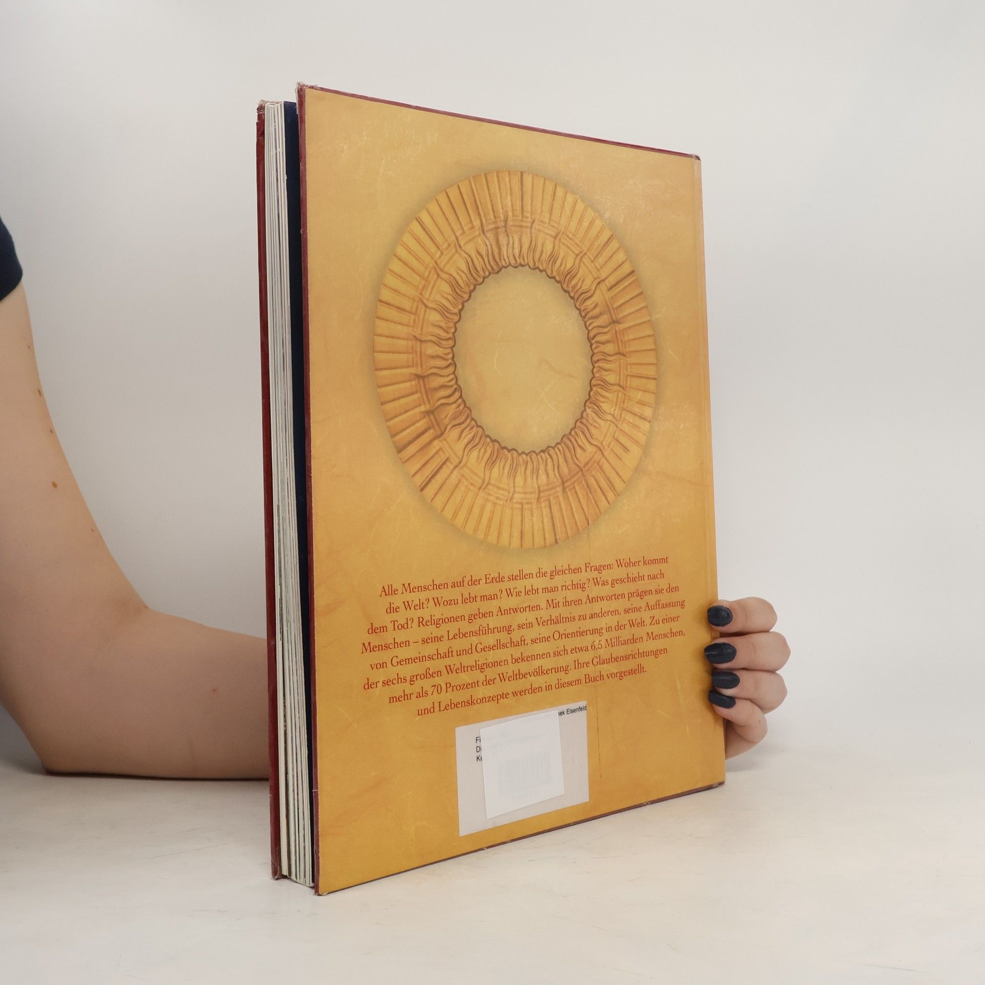Teja Fiedler Die sechs Weltreligionen: alles über Buddhismus, Judentum, Hinduismus, Islam, Taoismus, Christentum