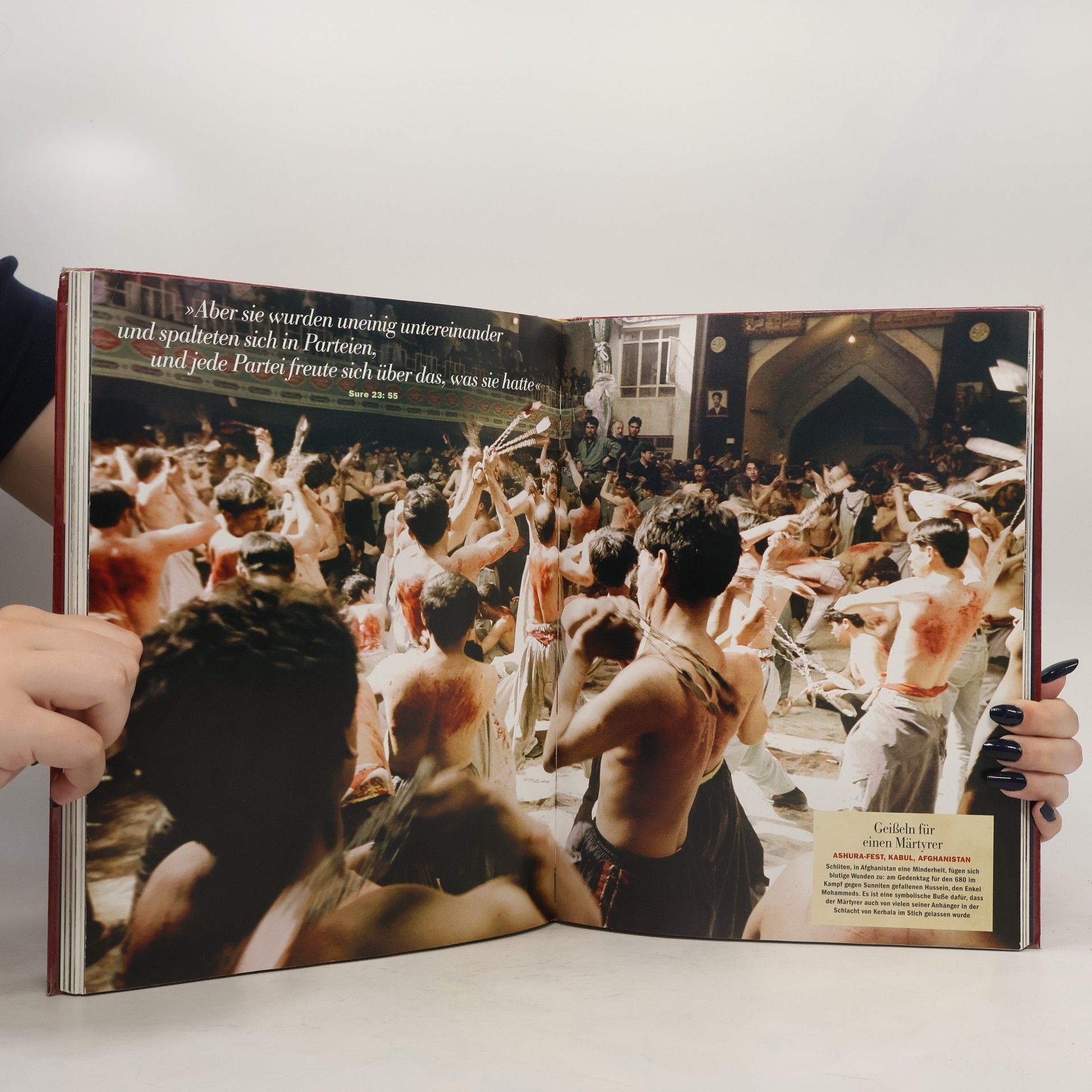 Teja Fiedler Die sechs Weltreligionen: alles über Buddhismus, Judentum, Hinduismus, Islam, Taoismus, Christentum