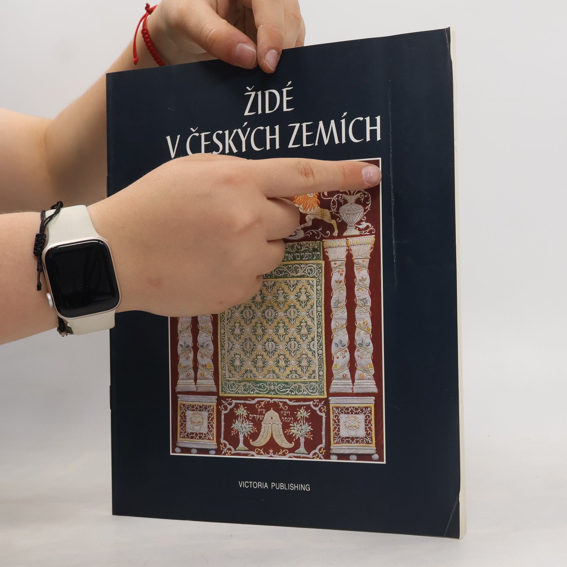 Bedřich Nosek Židé v českých zemích. 10. až 20. století