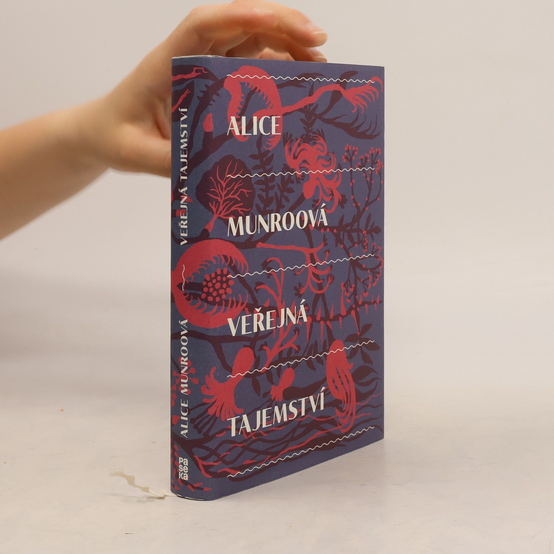 Alice Munro Veřejná tajemství
