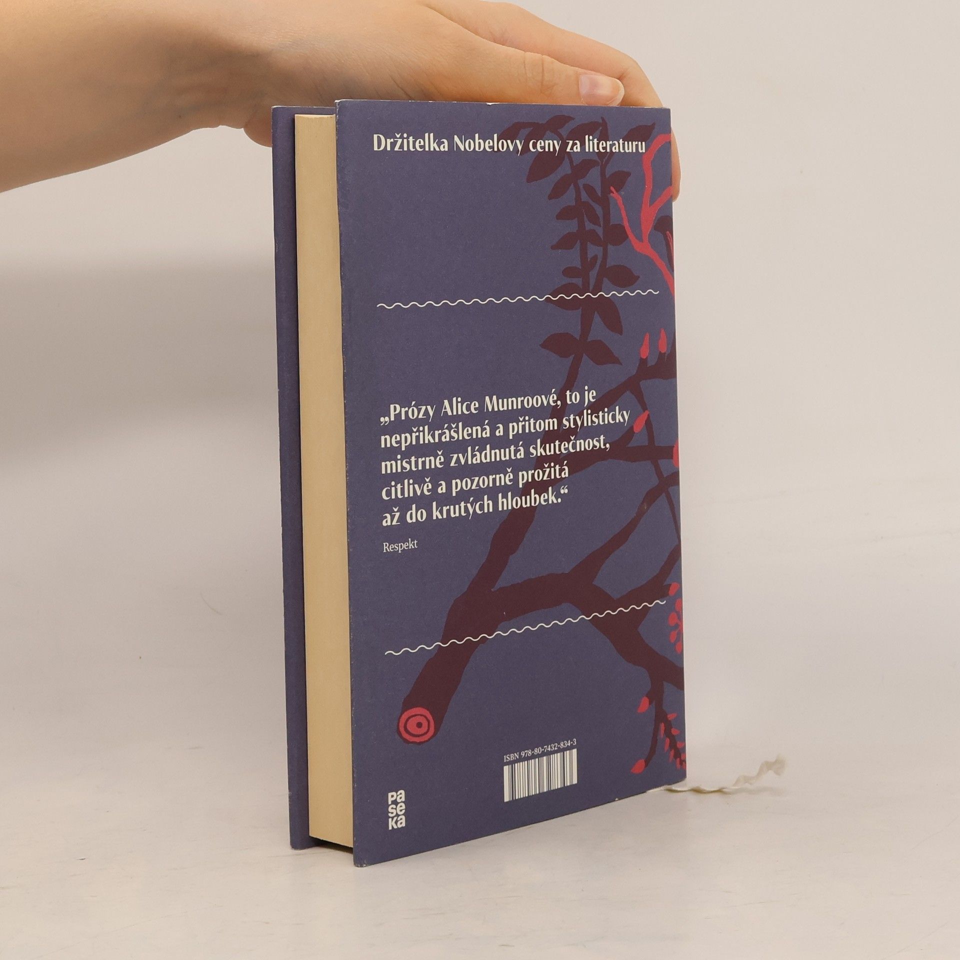 Alice Munro Veřejná tajemství