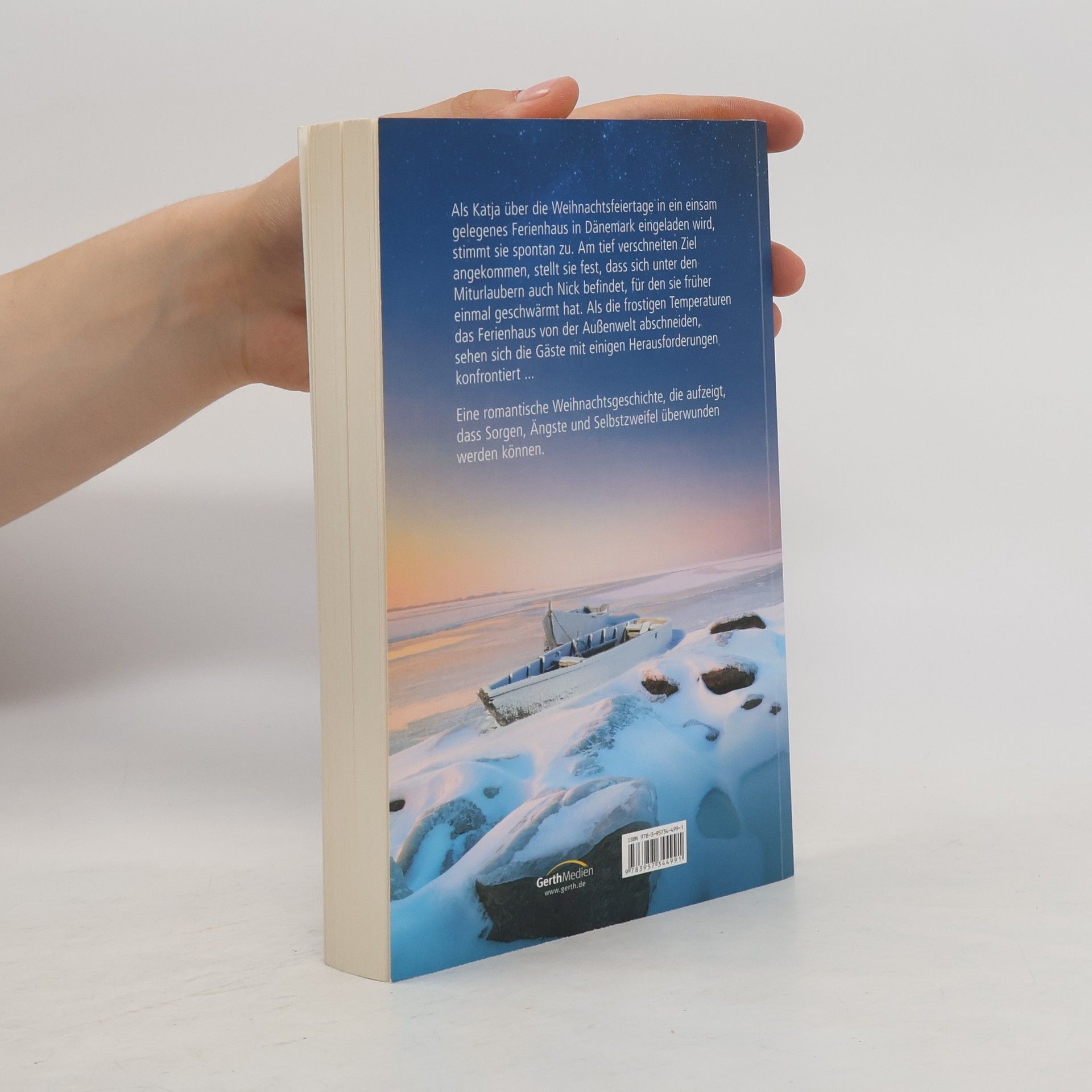 Elisabeth Büchle Unter dem Abendstern