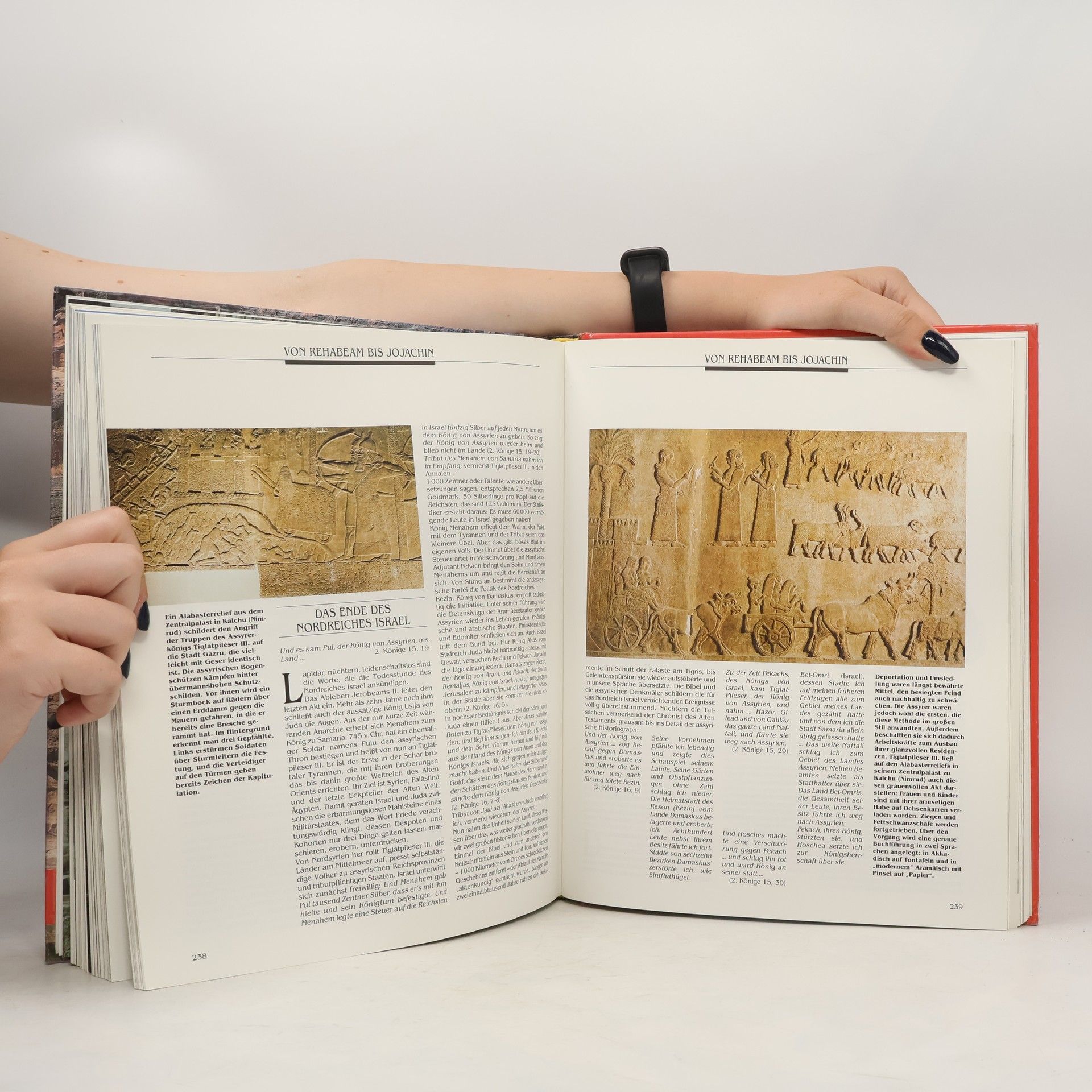 Werner Keller Und die Bibel hat doch recht