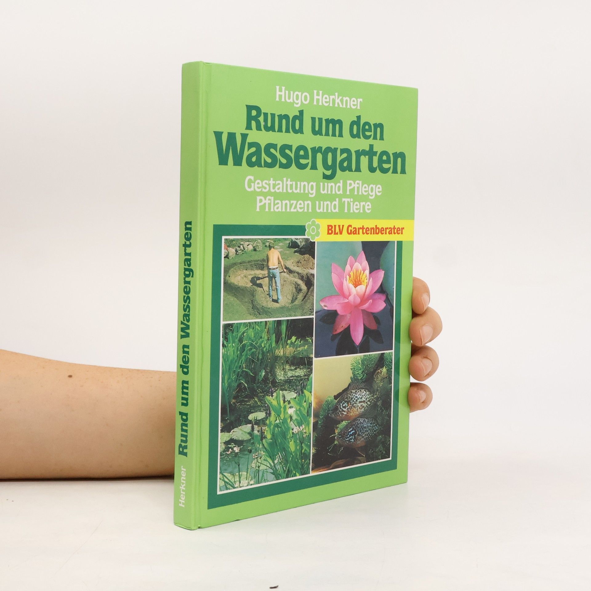 Hugo Herkner Rund um den Wassergarten