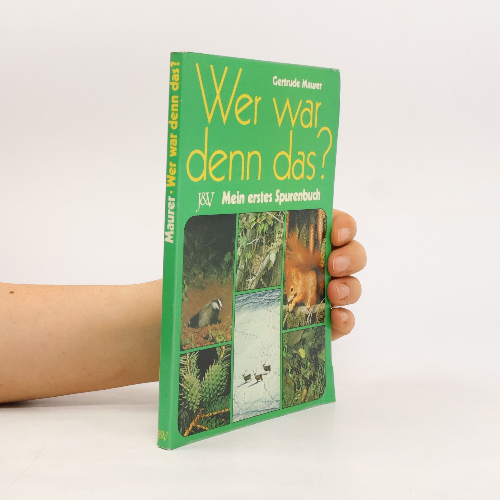 Gertrude Maurer Wer war denn das?