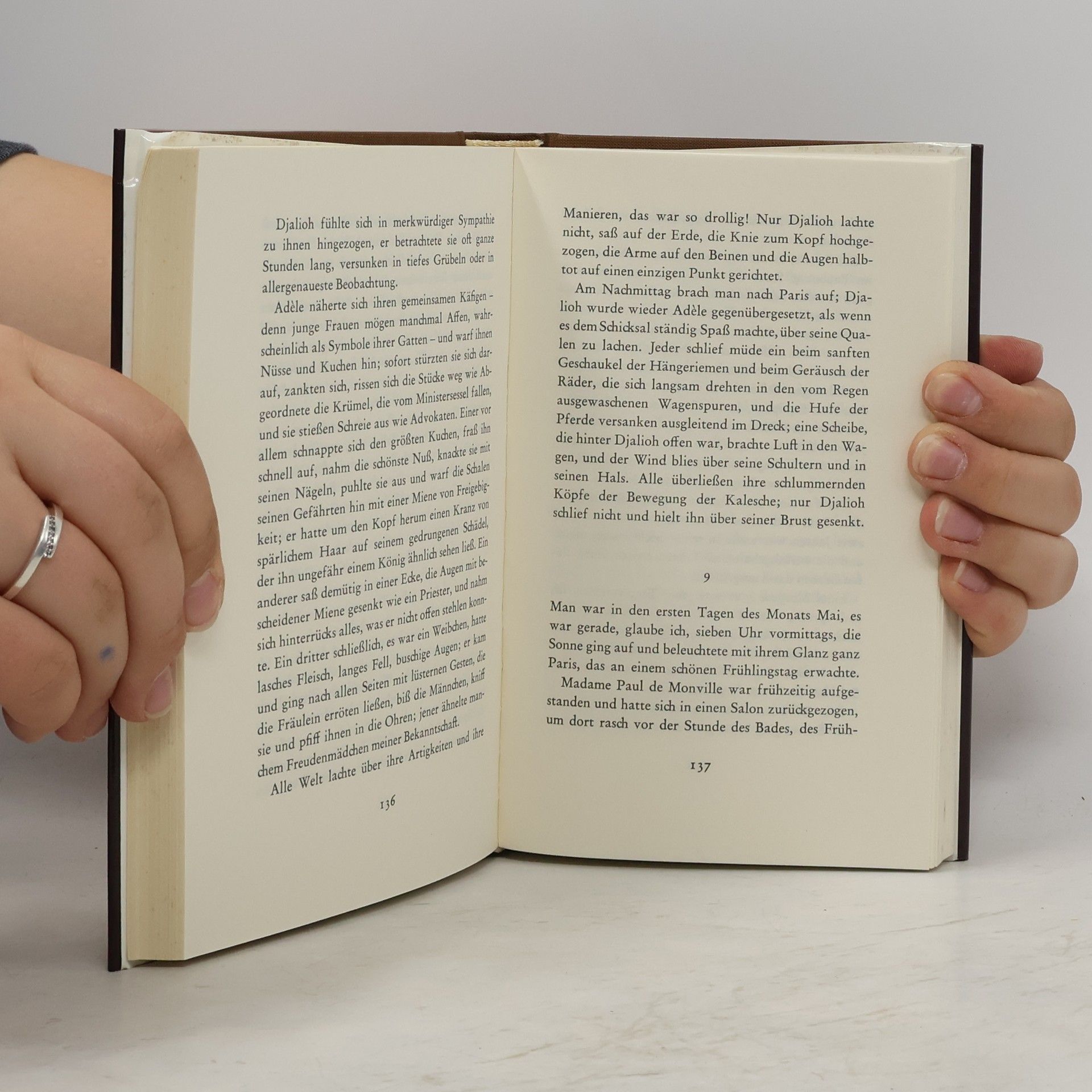 Gustave Flaubert Jugendwerke 1