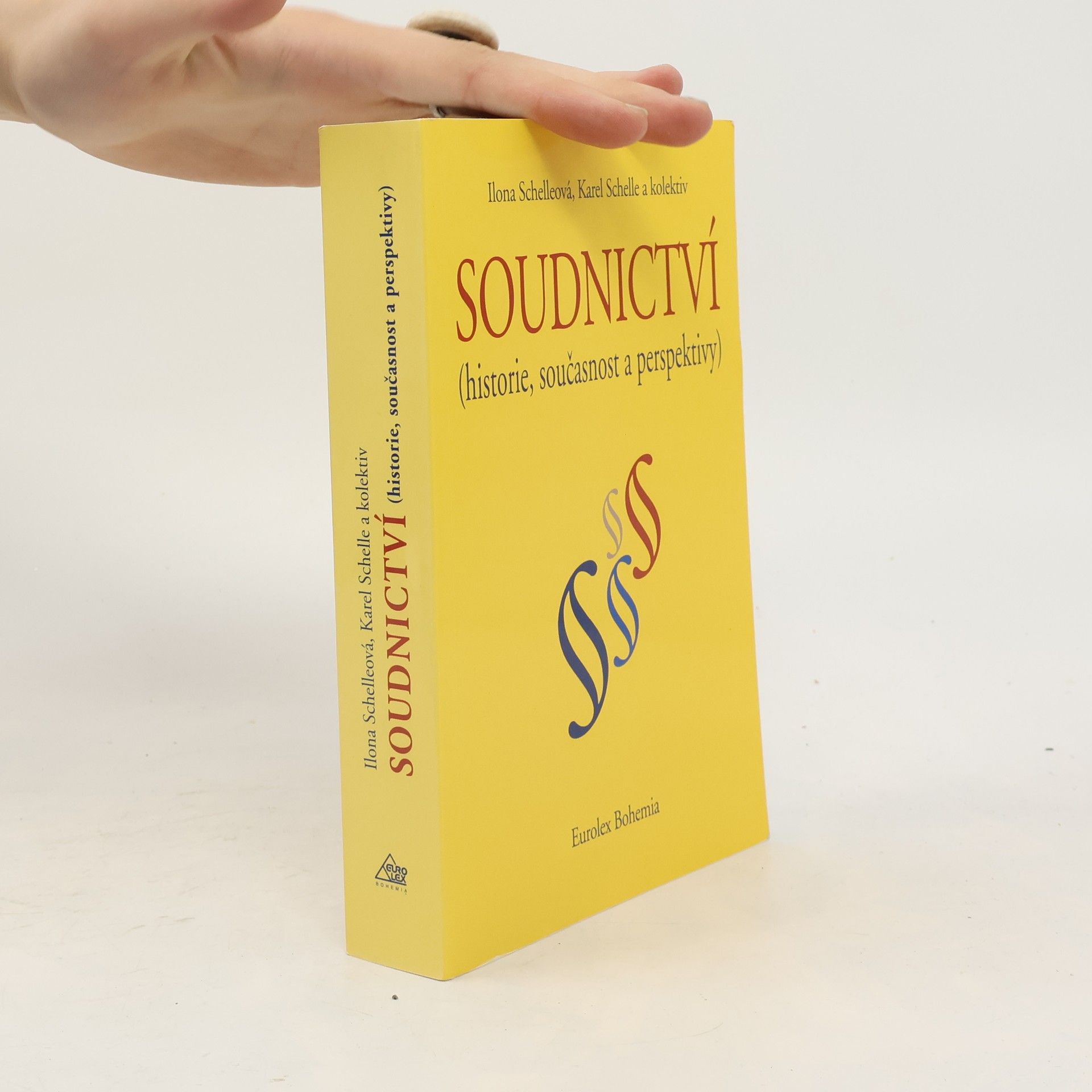 Soudnictví : (historie, současnost a perspektivy)