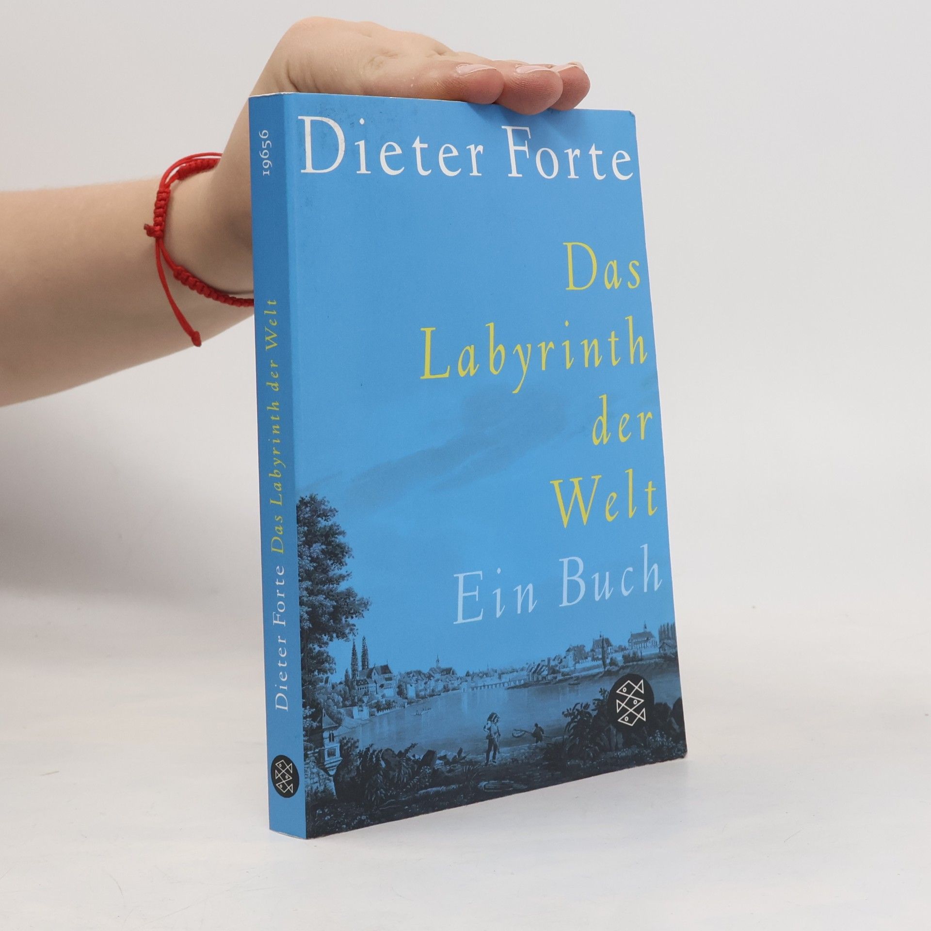 Das Labyrinth der Welt