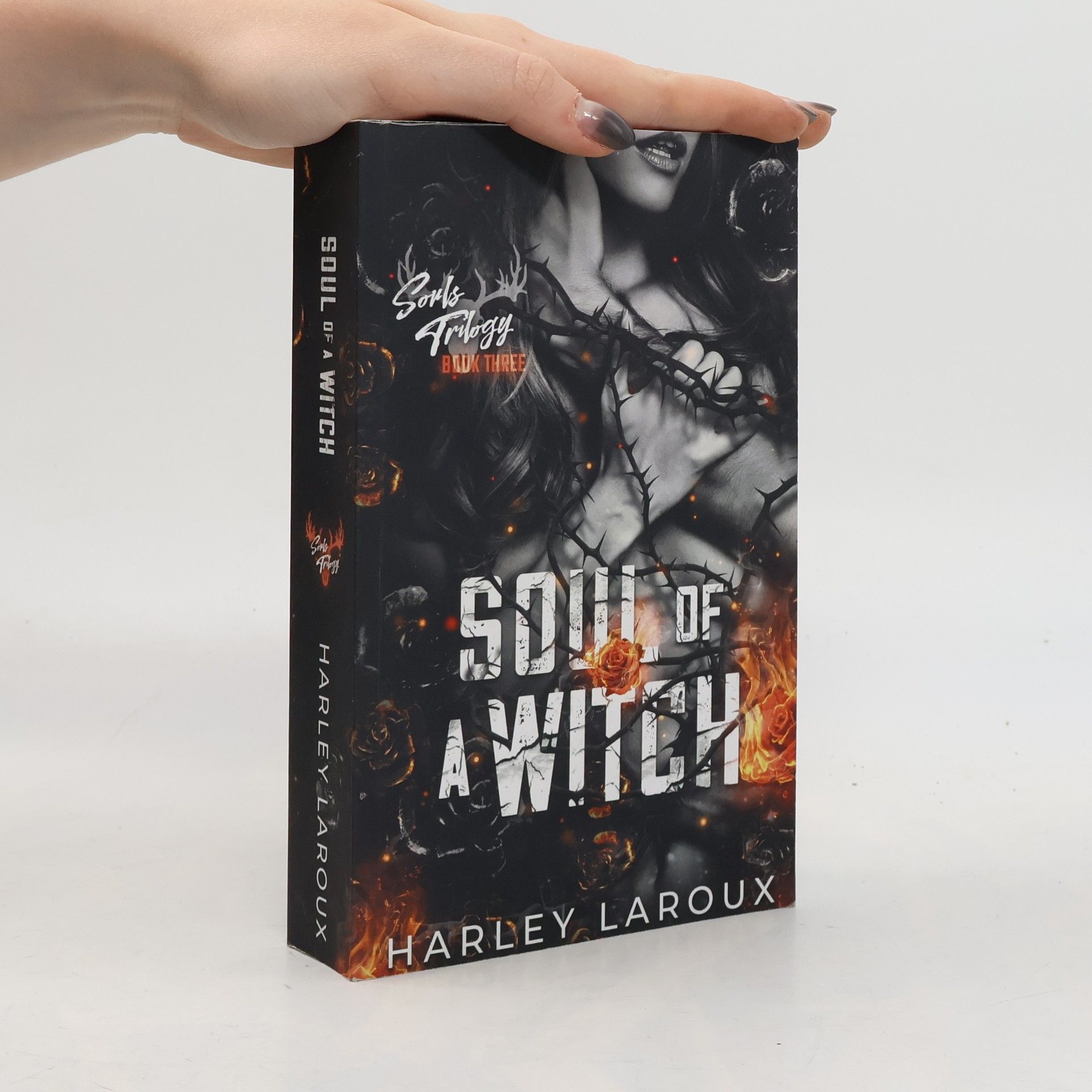 Harley Laroux Souls Trilogy - 3: Soul of a Witch