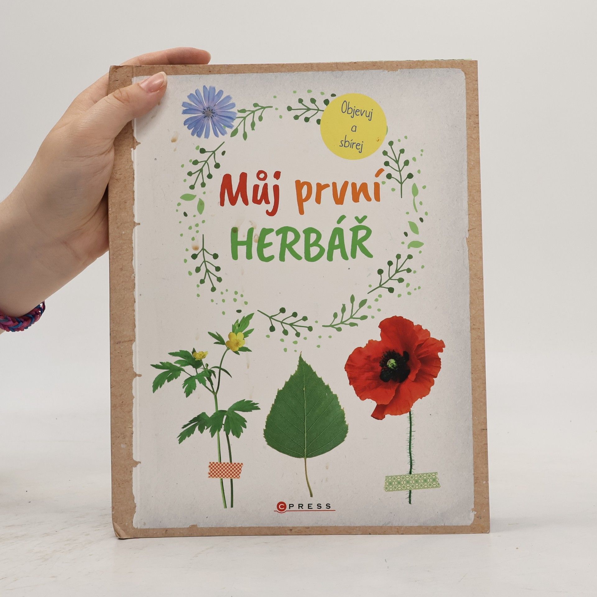 Anna Linstadt Můj první herbář