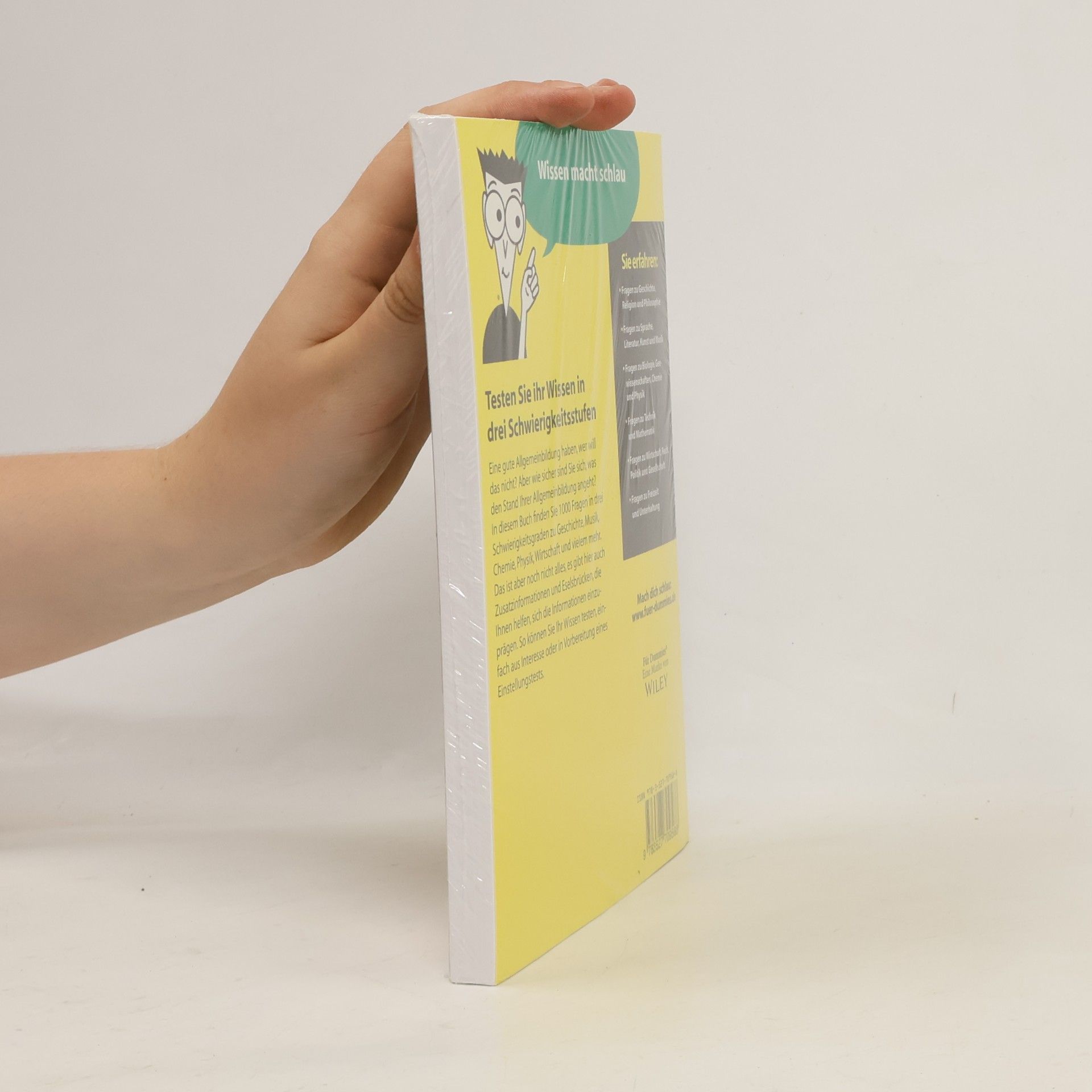 Geesche Kieckbusch Testbuch Allgemeinbildung für Dummies