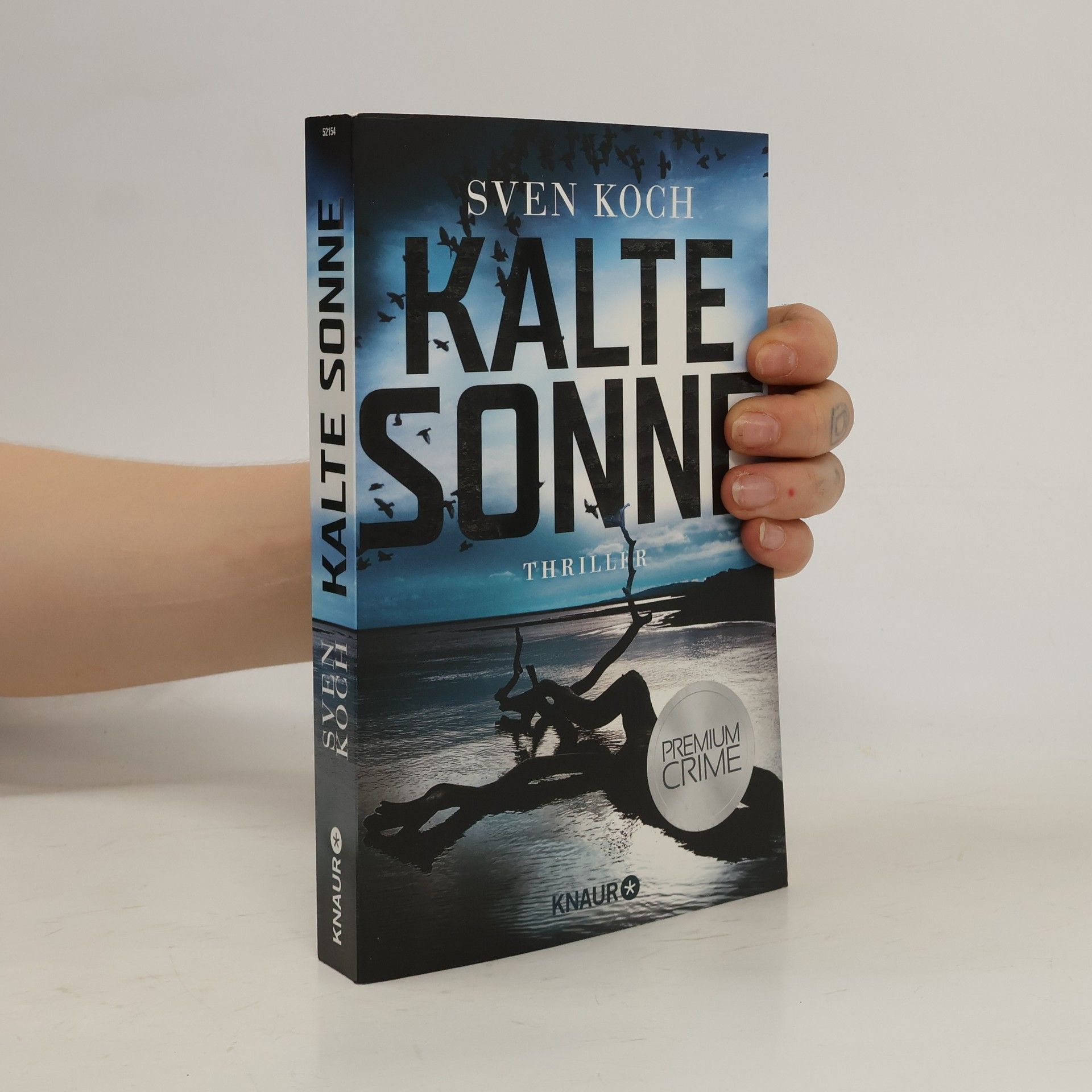 Sven Koch Kalte Sonne