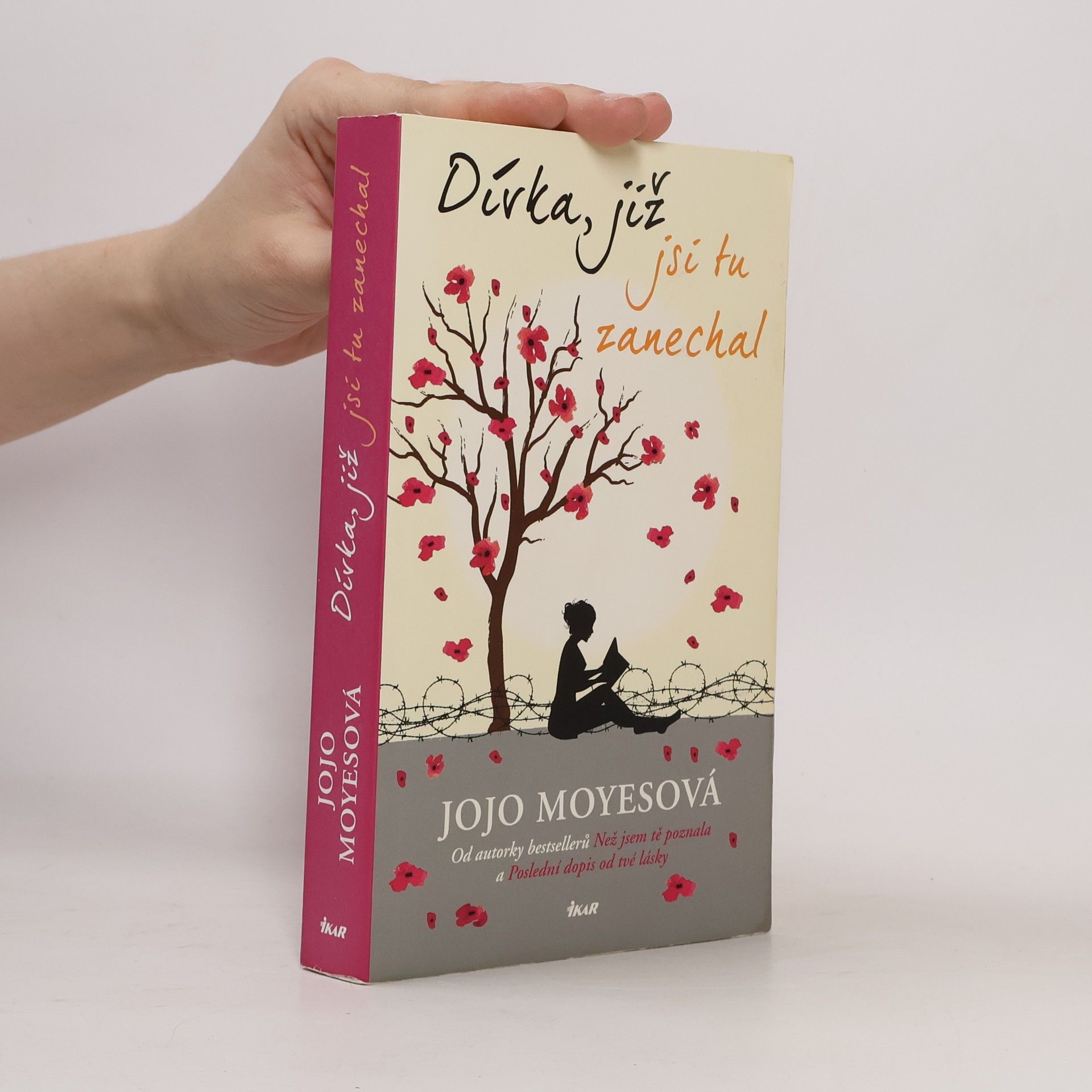 Jojo Moyes Dívka, již jsi tu zanechal