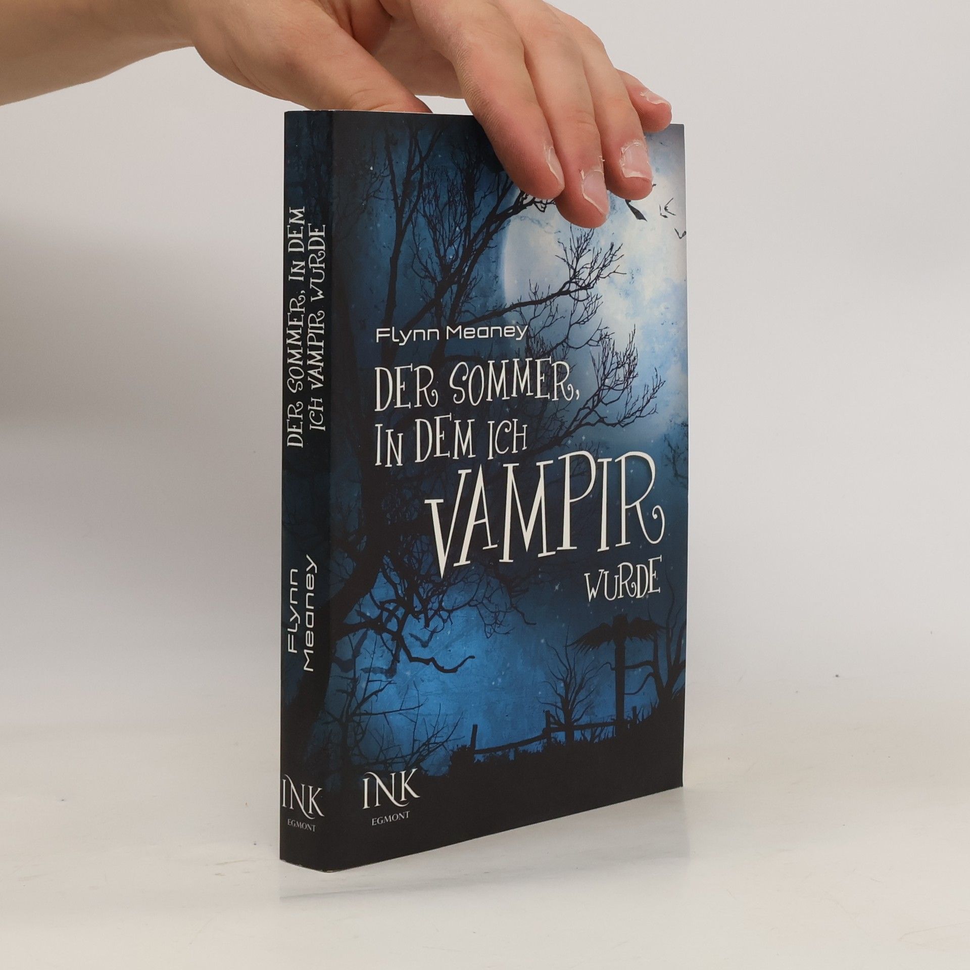 Flynn Meaney Der Sommer, in dem ich Vampir wurde