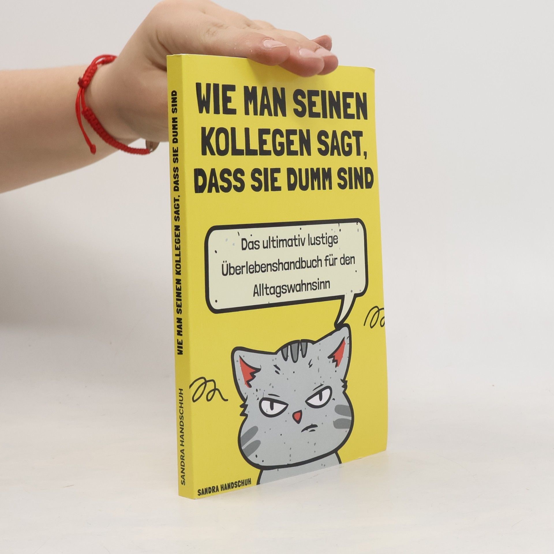 Sandra Handschuh Wie man seinen Kollegen sagt, dass sie dumm sind. Das ultimativ lustige Überlebenshandbuch für den Alltagswahnsinn