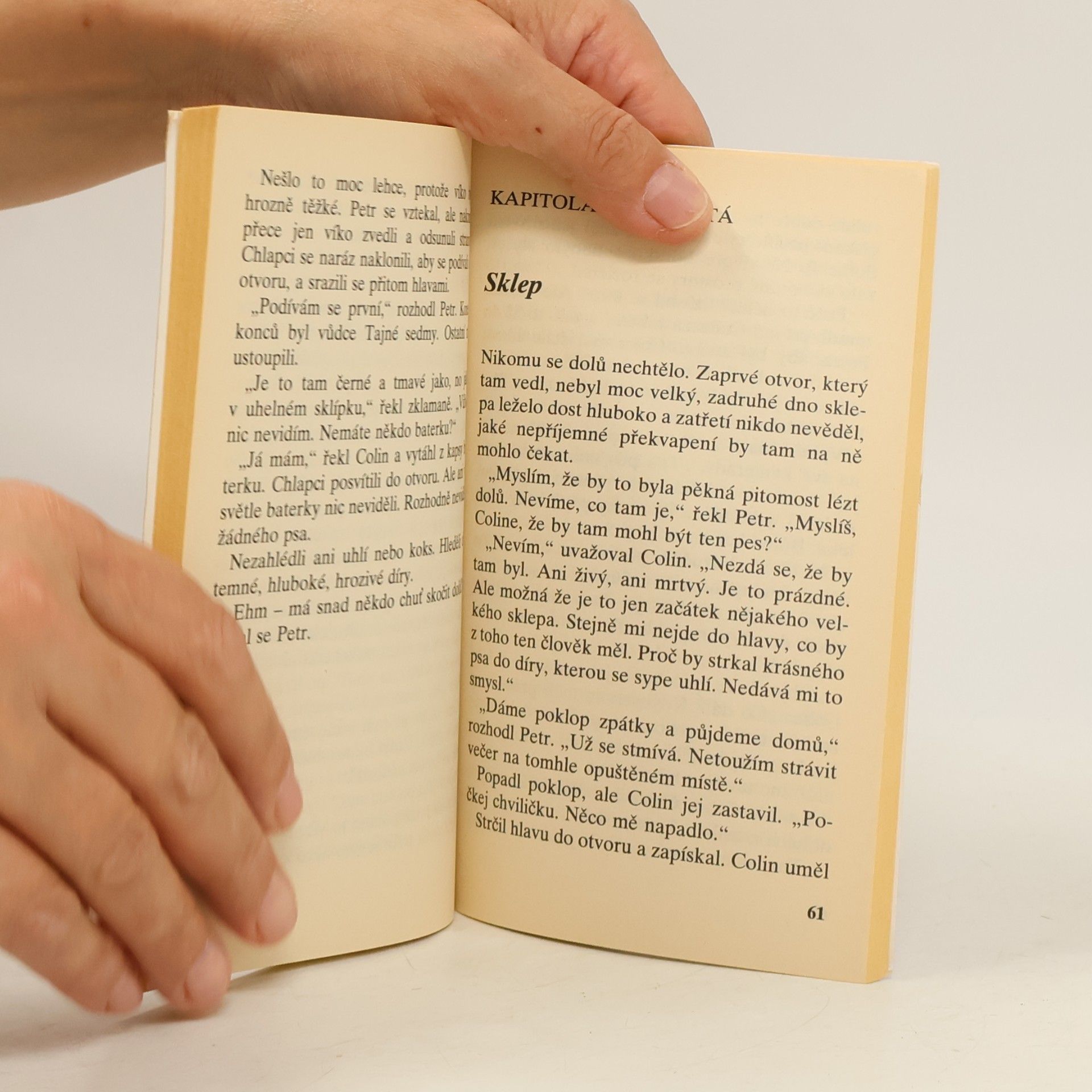 Enid Blyton Tajná sedma. Případ zmizelých psů