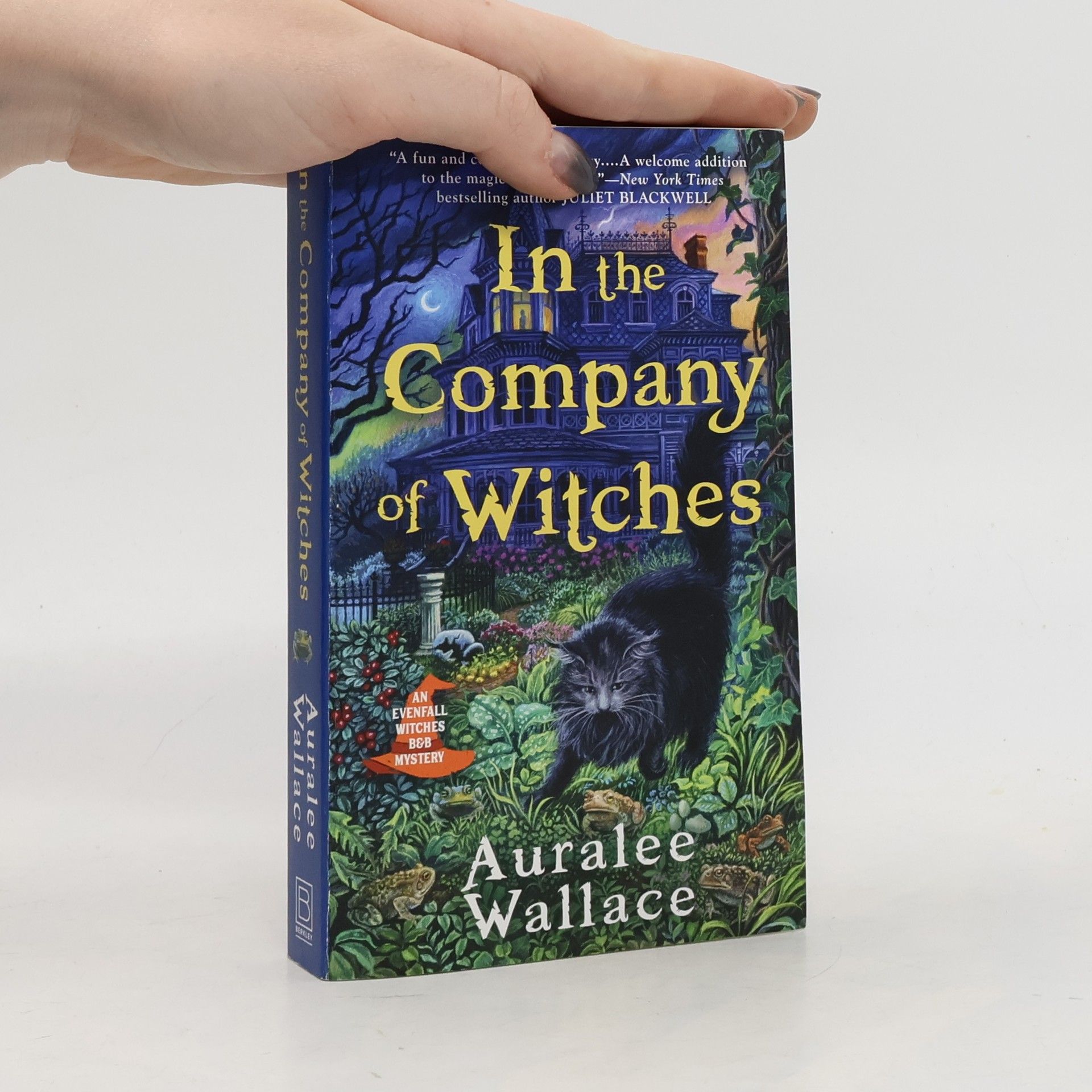 In The Company Of Witches