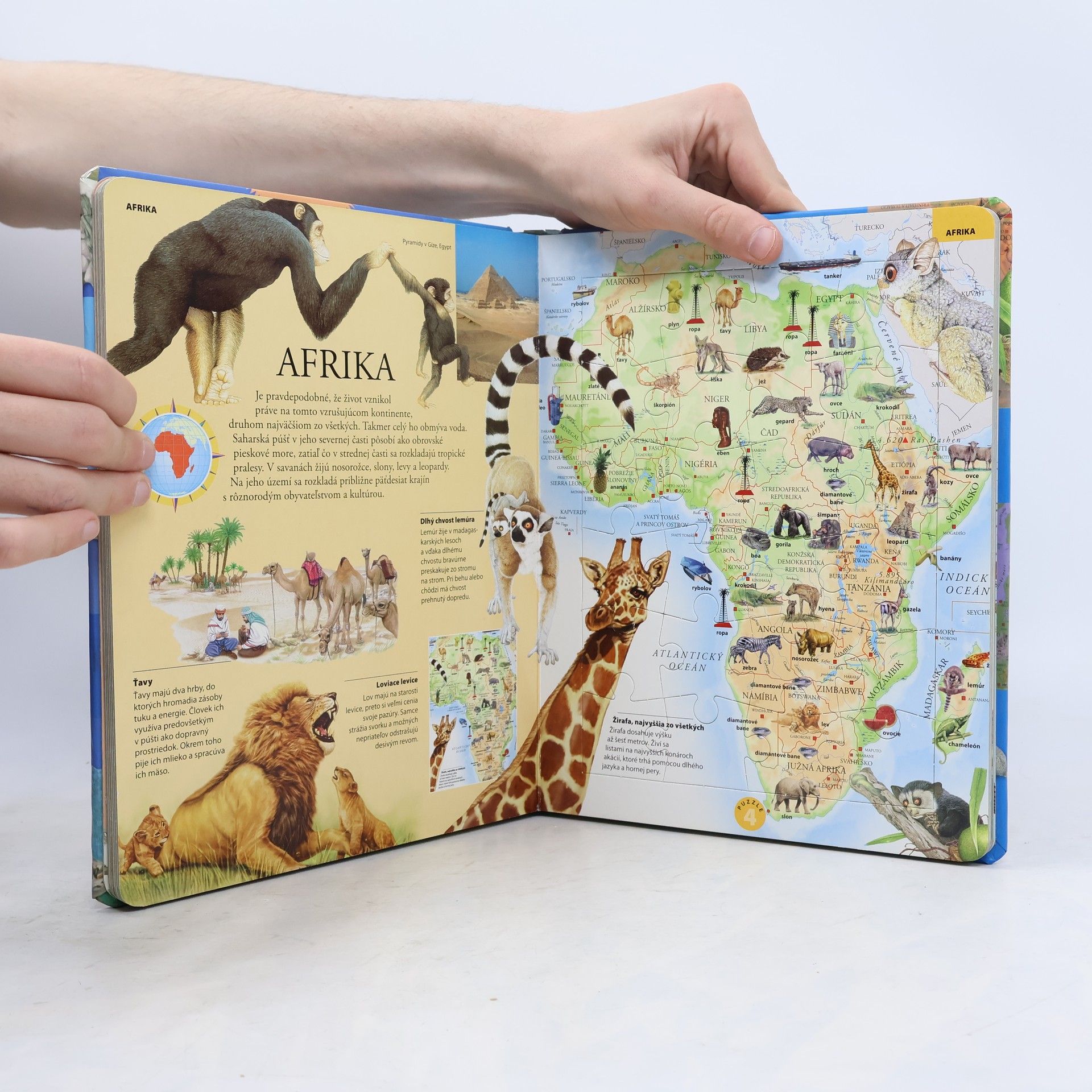 Autorenkollektiv Puzzle atlas zvierat