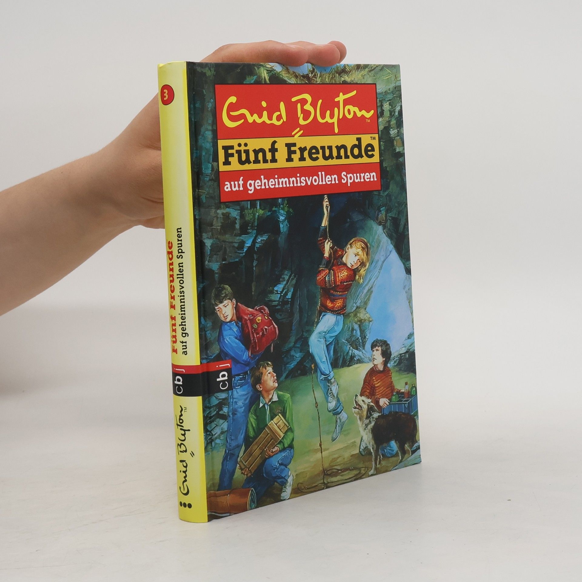 Enid Blyton 5 Freunde auf geheimnisvollen Spuren