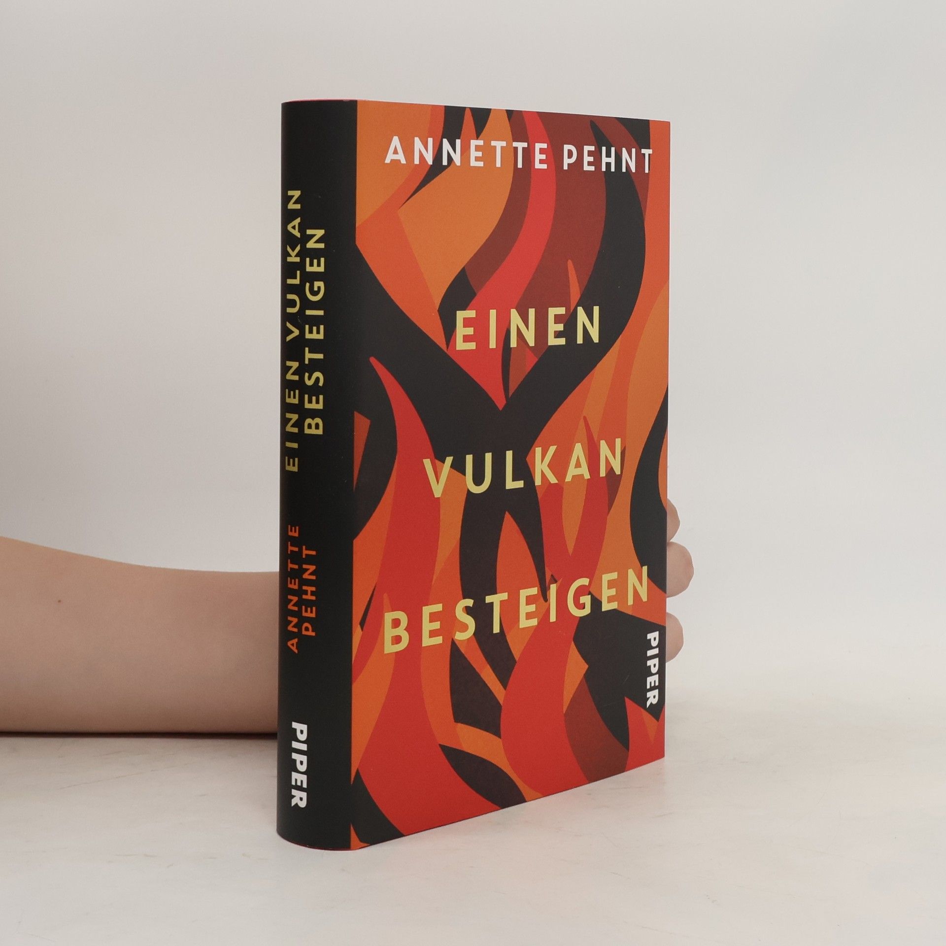 Annette Pehnt Einen Vulkan besteigen