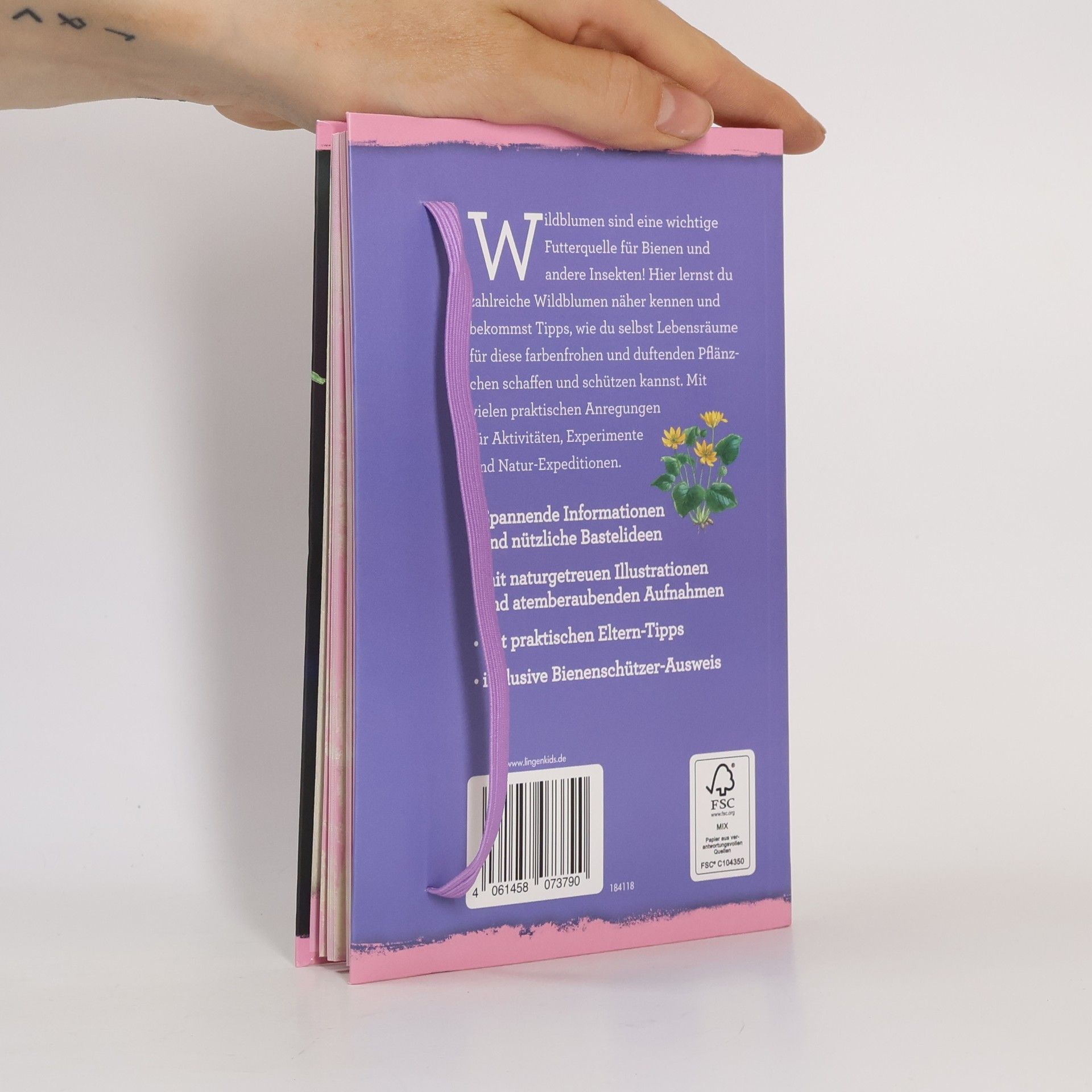 Autorenkollektiv Die Welt der Wildblumen