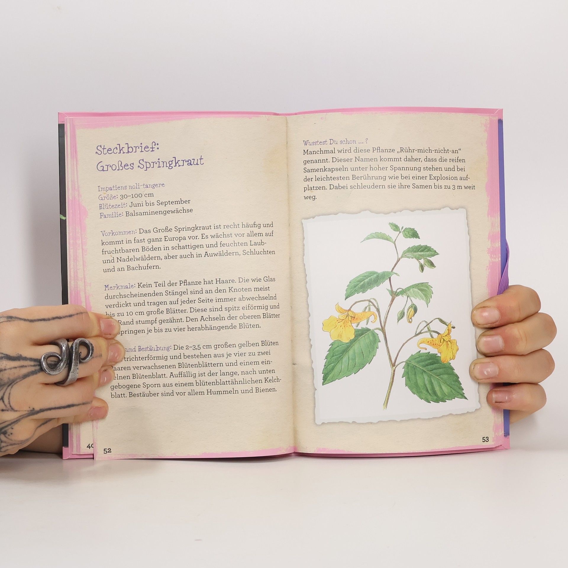 Autorenkollektiv Die Welt der Wildblumen