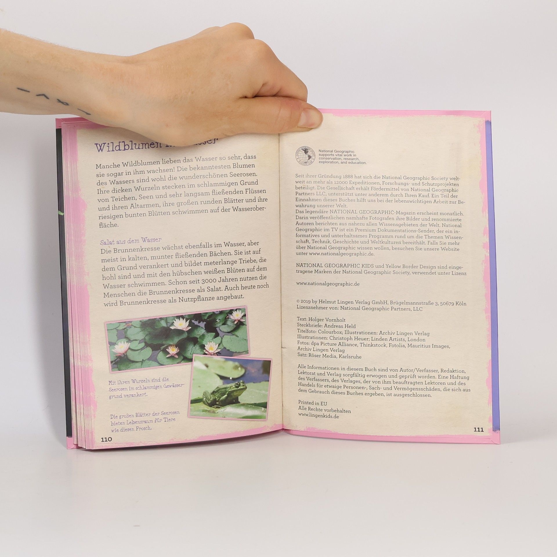 Autorenkollektiv Die Welt der Wildblumen