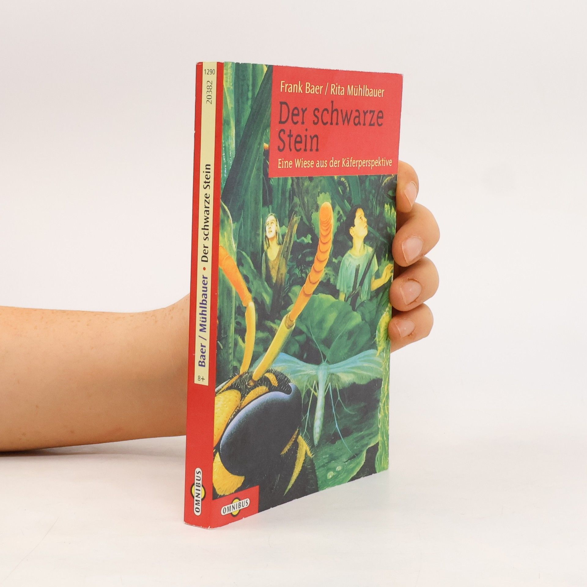 Omnibus: Der schwarze Stein