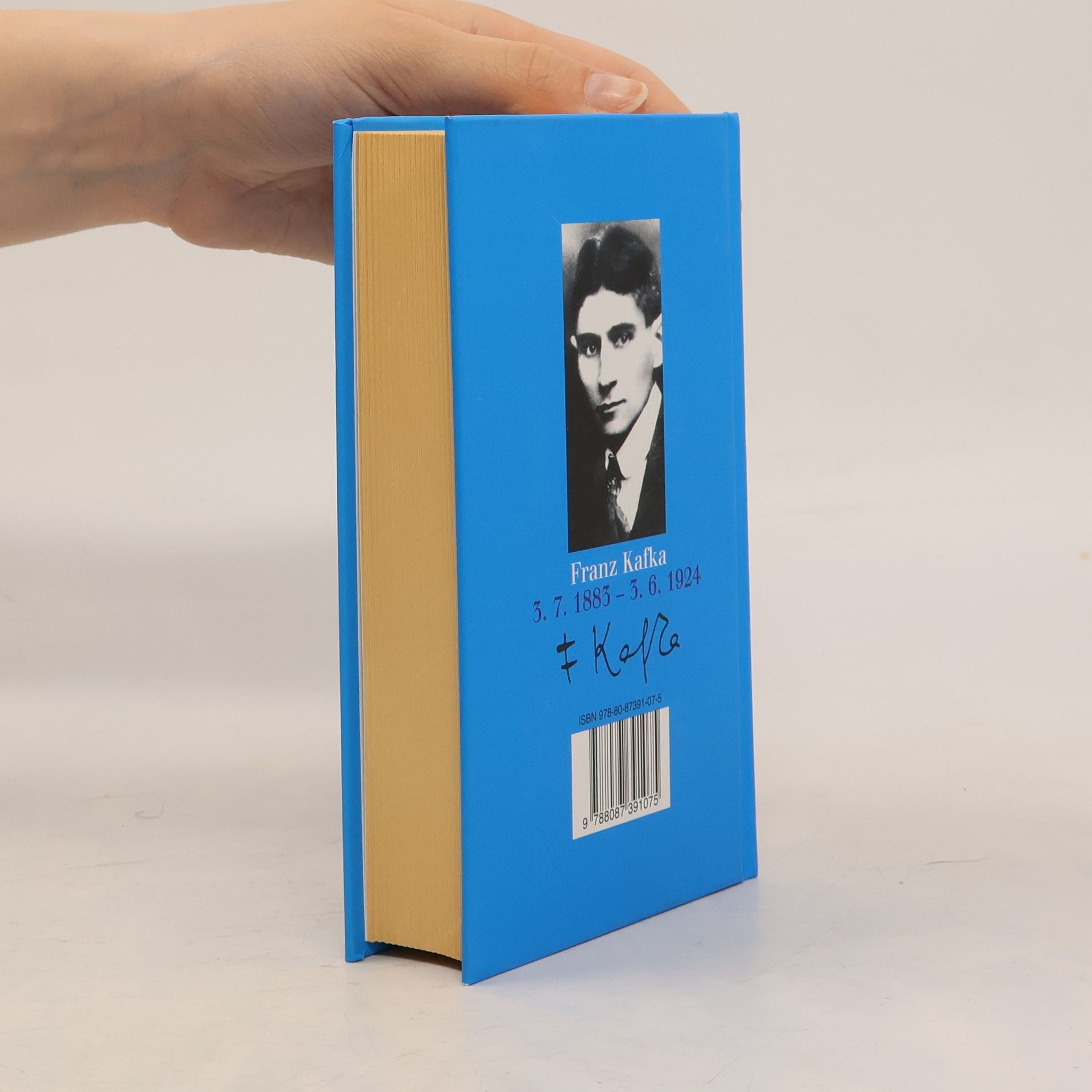 Franz Kafka Zámek