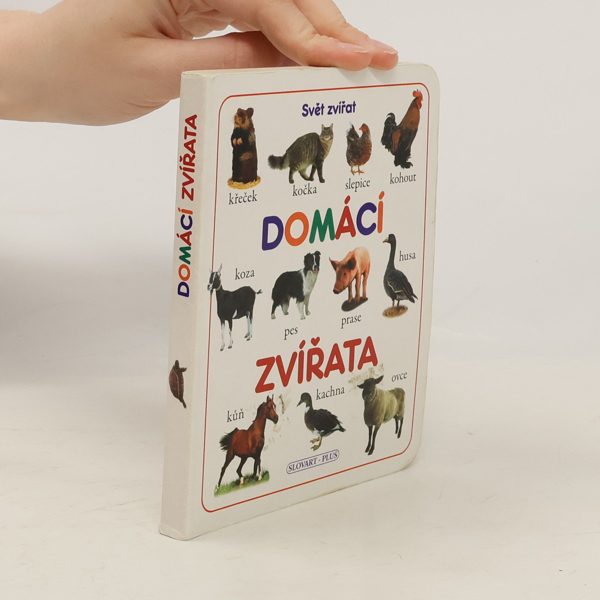 Markéta Šubotníková Domácí zvířata